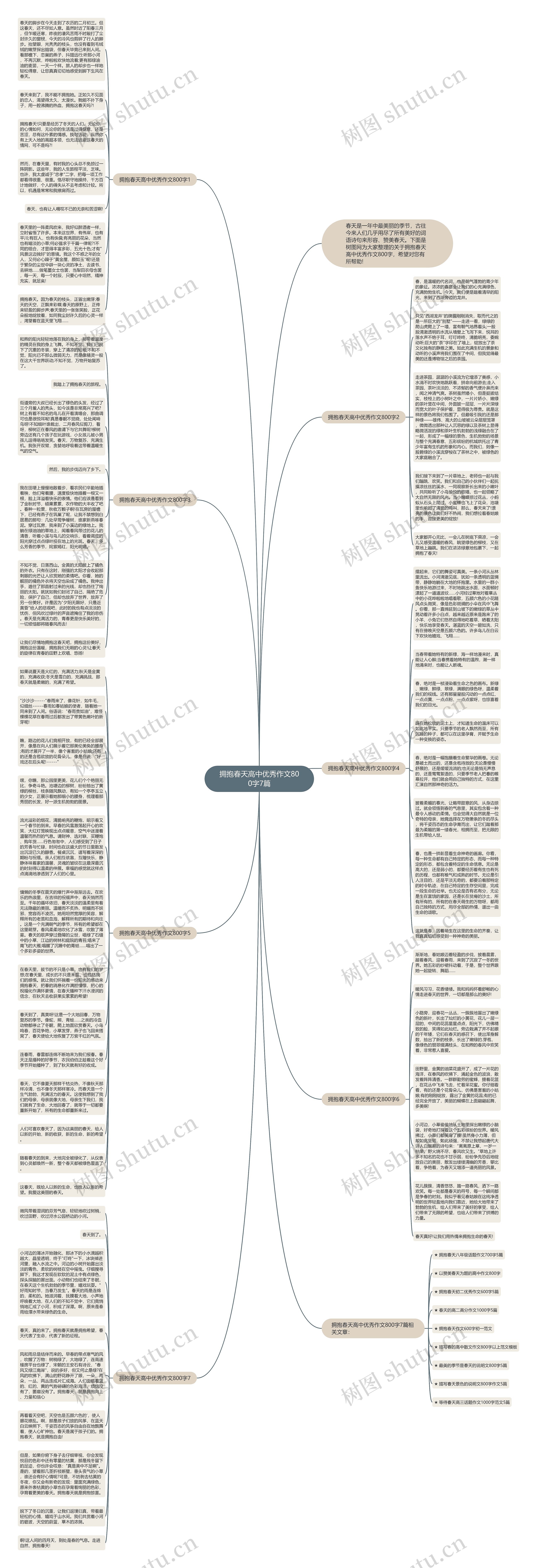 拥抱春天高中优秀作文800字7篇思维导图
