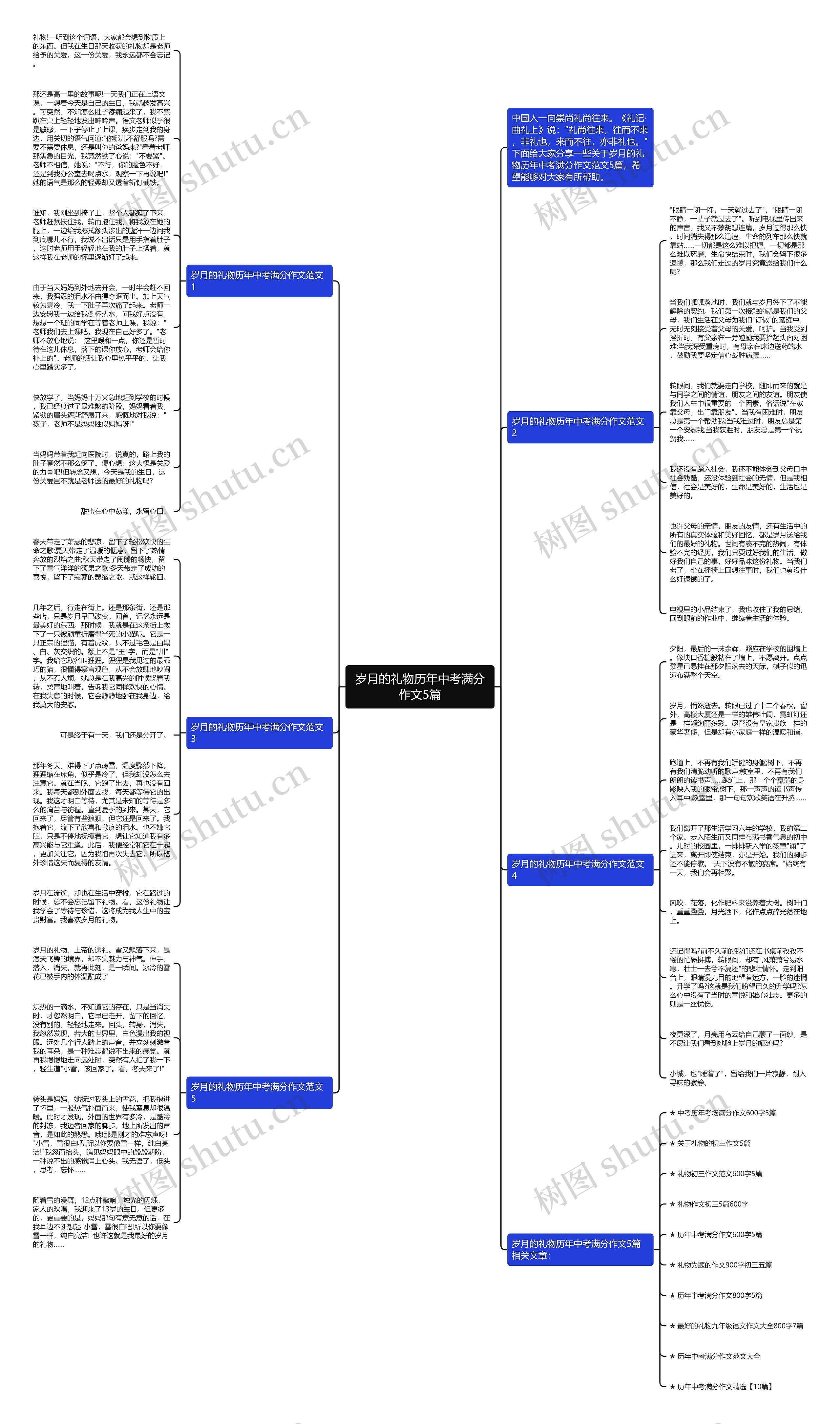 岁月的礼物历年中考满分作文5篇思维导图