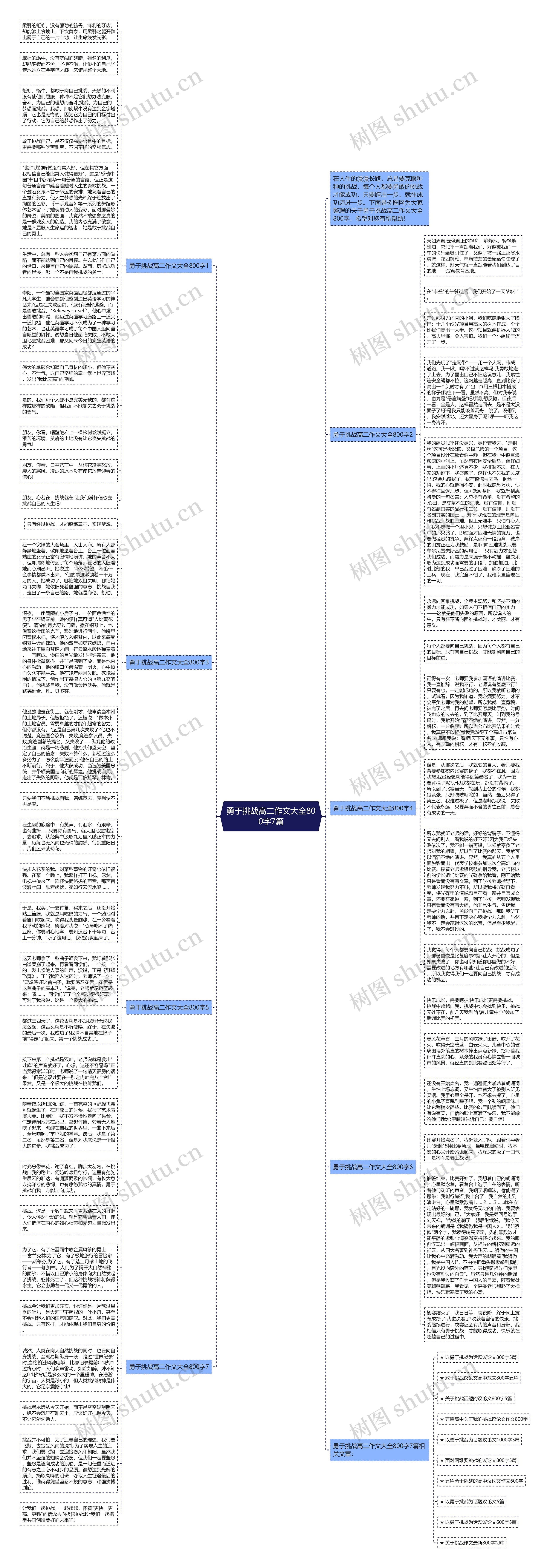 勇于挑战高二作文大全800字7篇思维导图