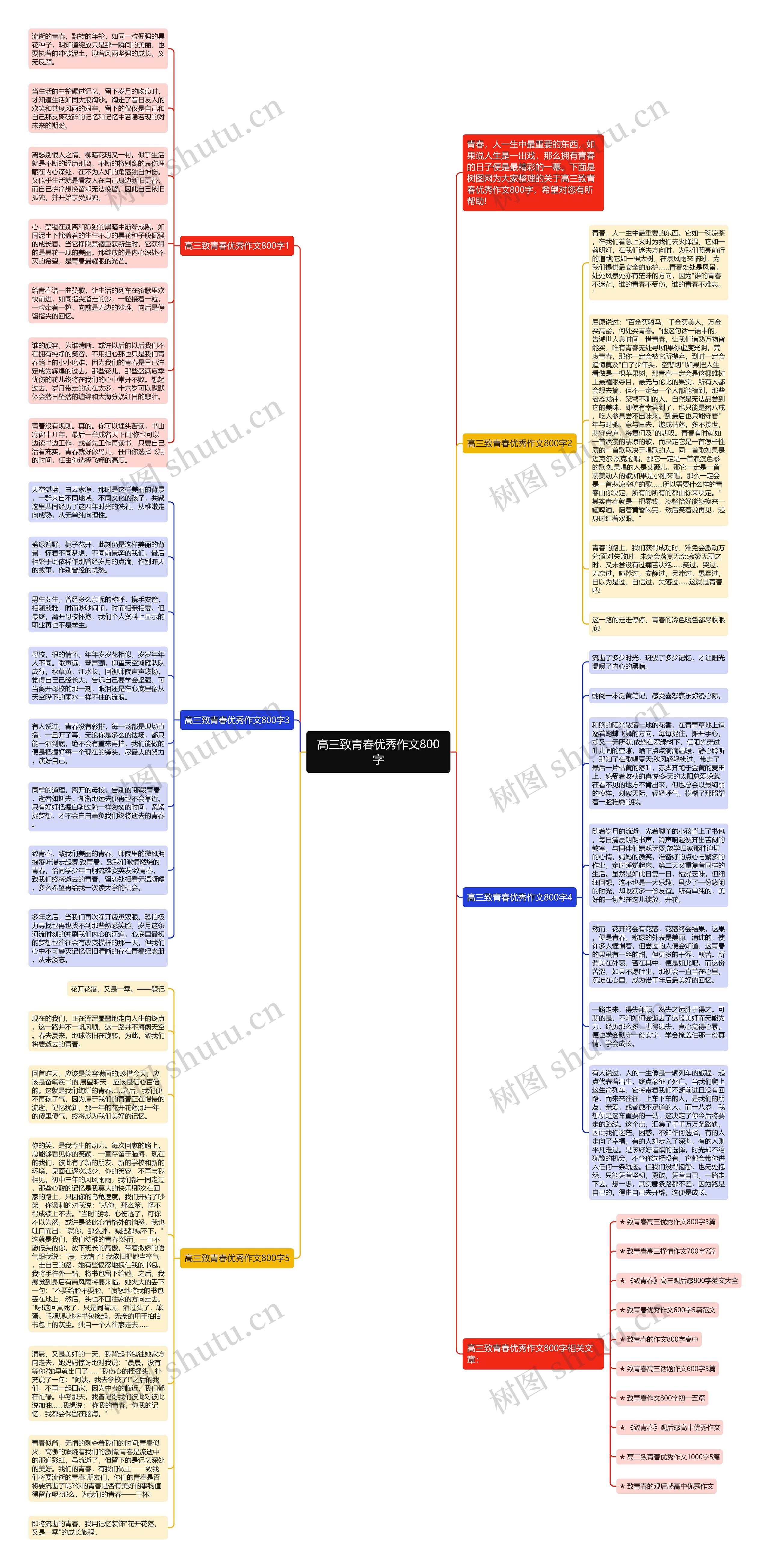 高三致青春优秀作文800字思维导图