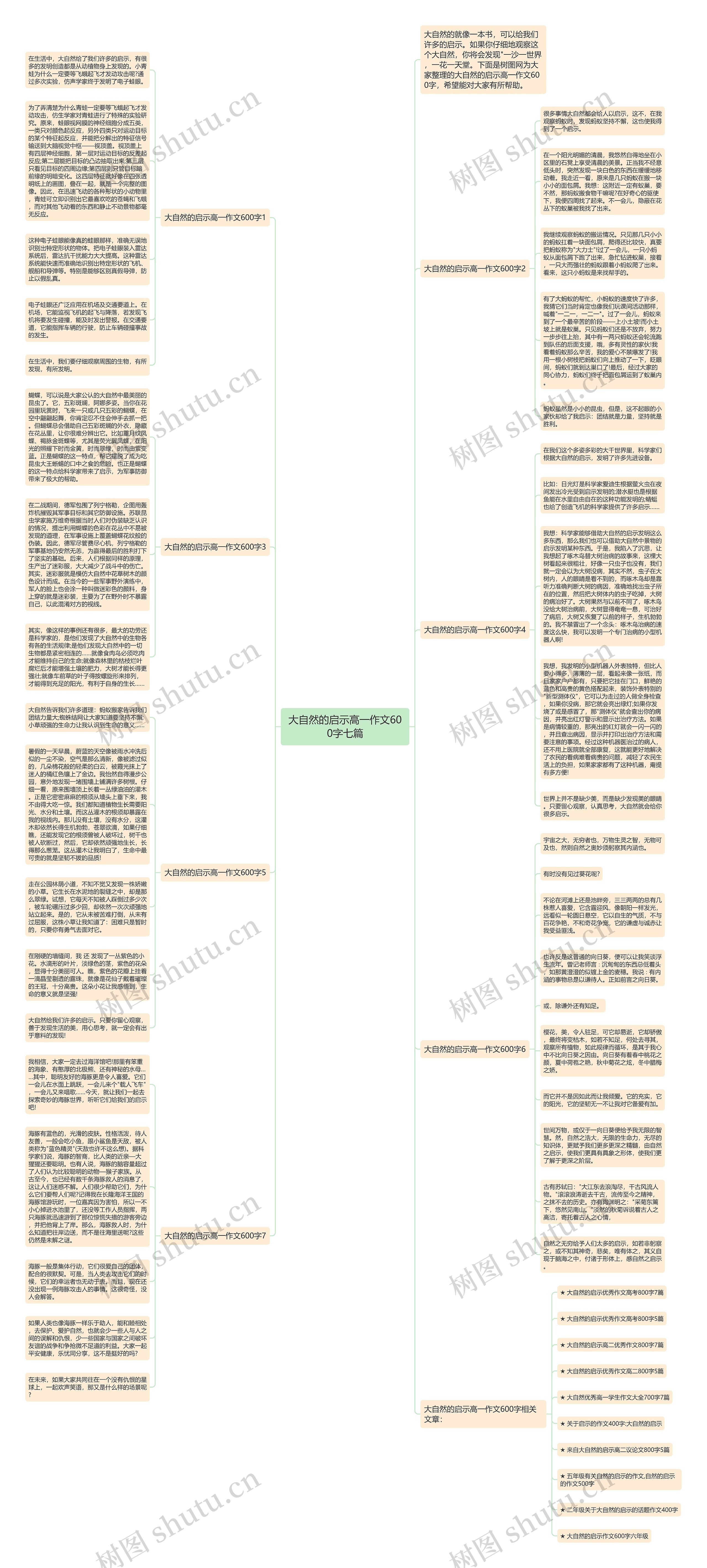 大自然的启示高一作文600字七篇思维导图