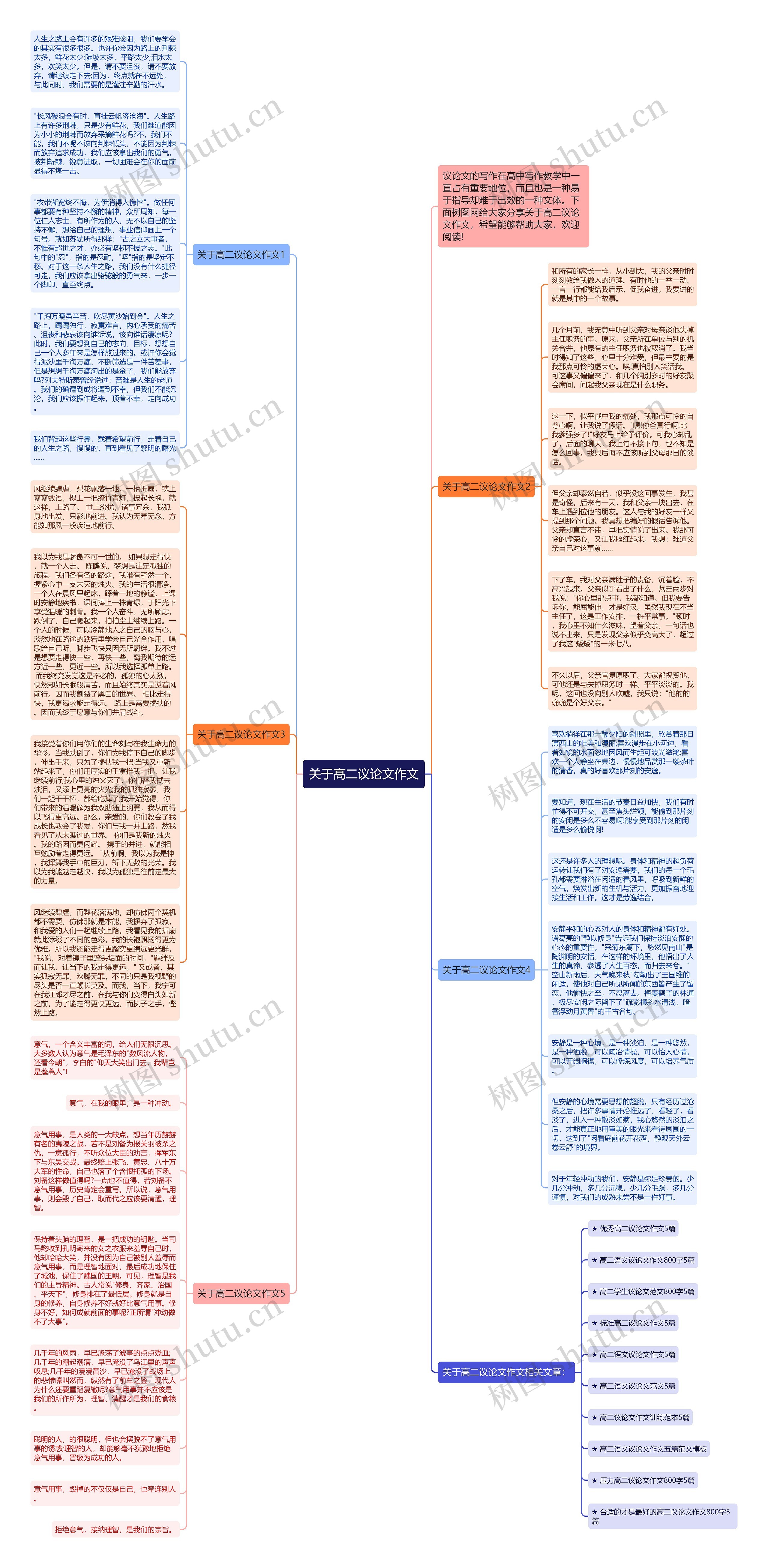 关于高二议论文作文思维导图