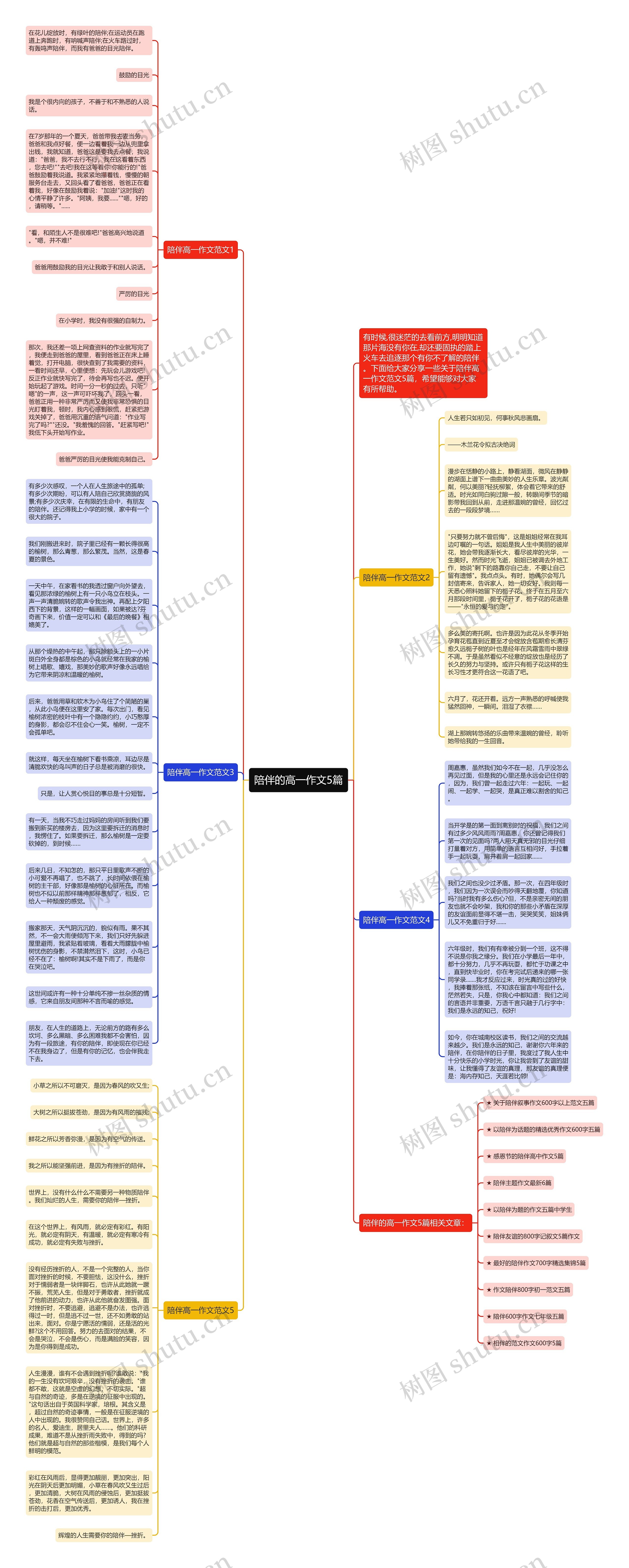 陪伴的高一作文5篇思维导图