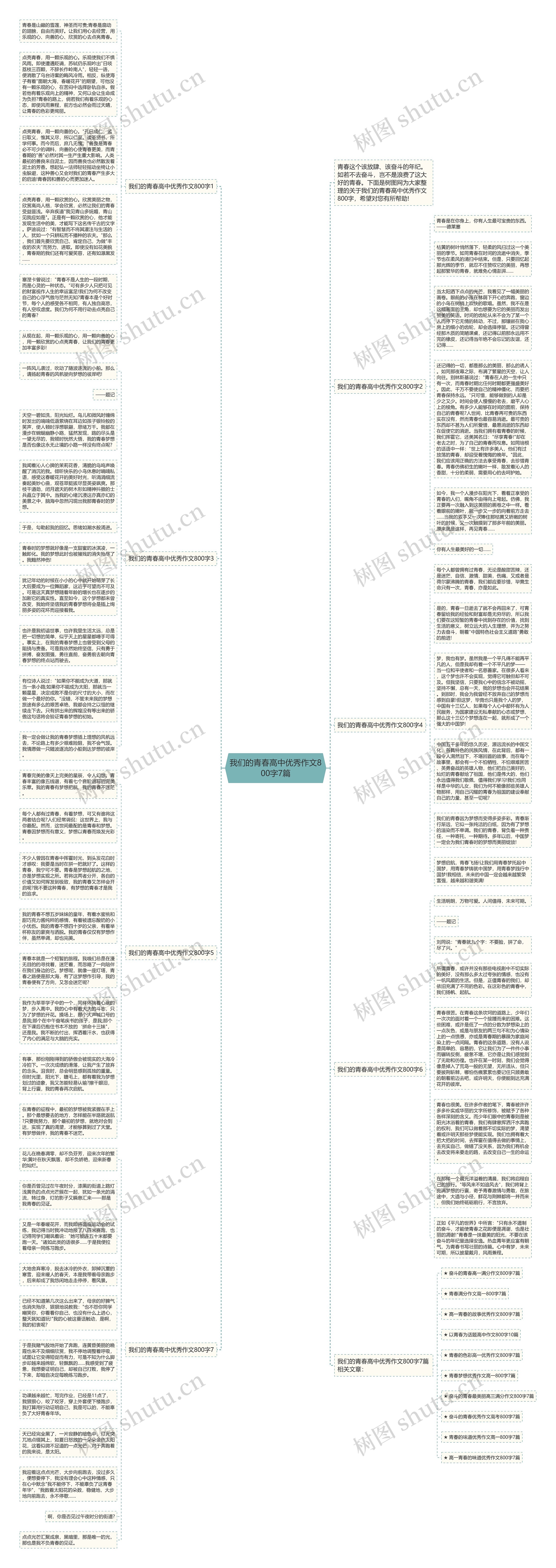 我们的青春高中优秀作文800字7篇思维导图