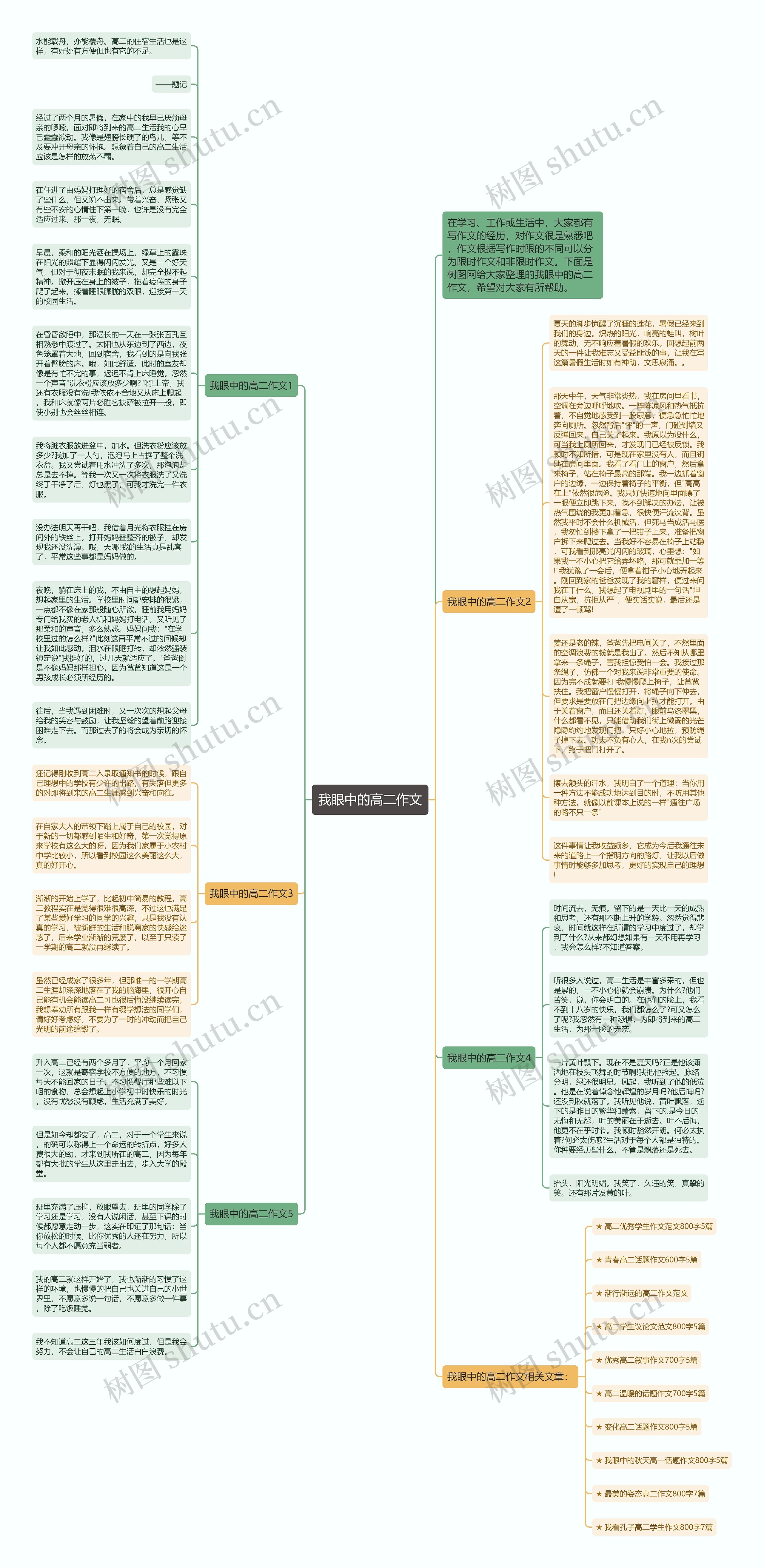 我眼中的高二作文思维导图
