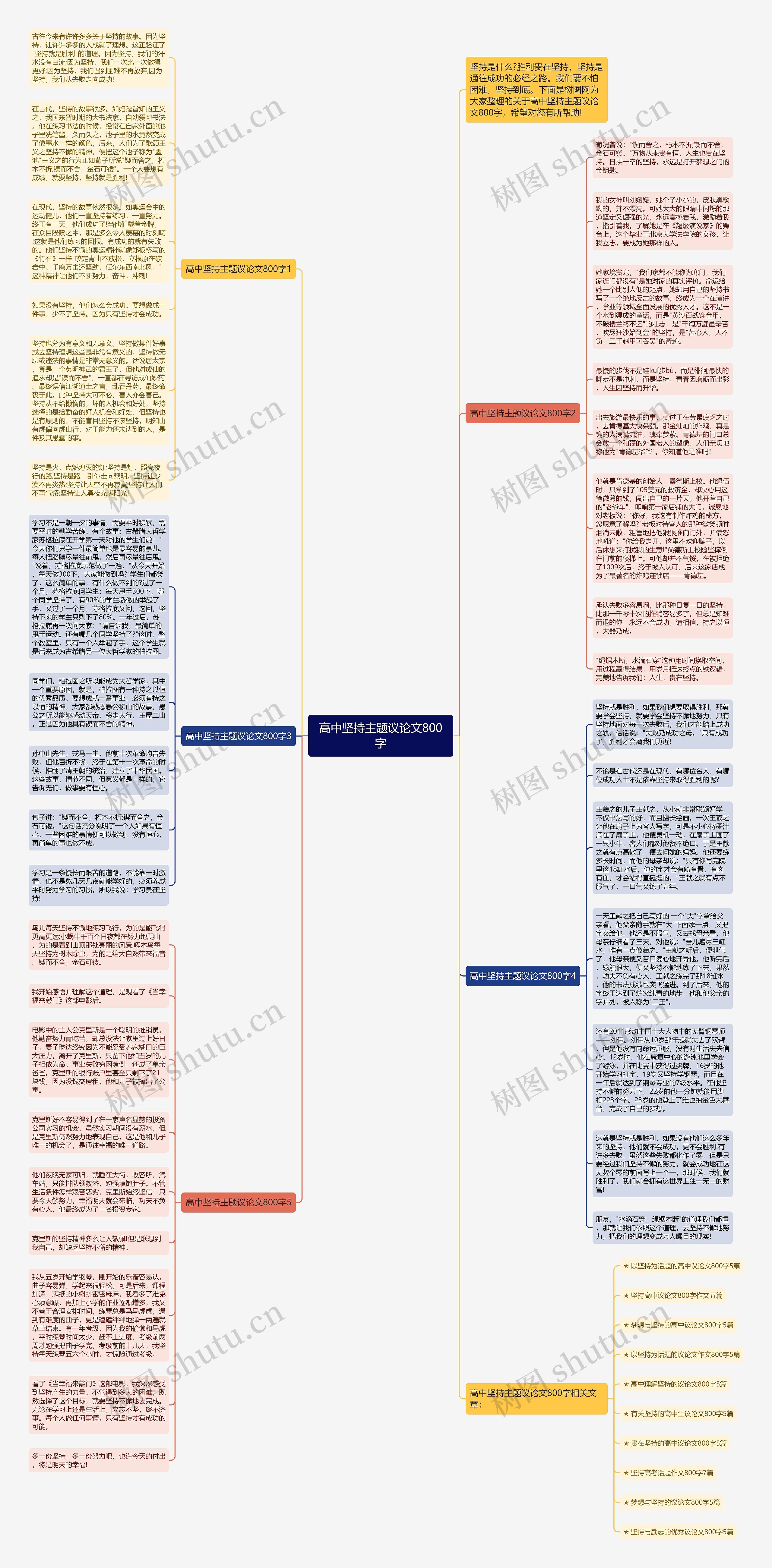 高中坚持主题议论文800字思维导图