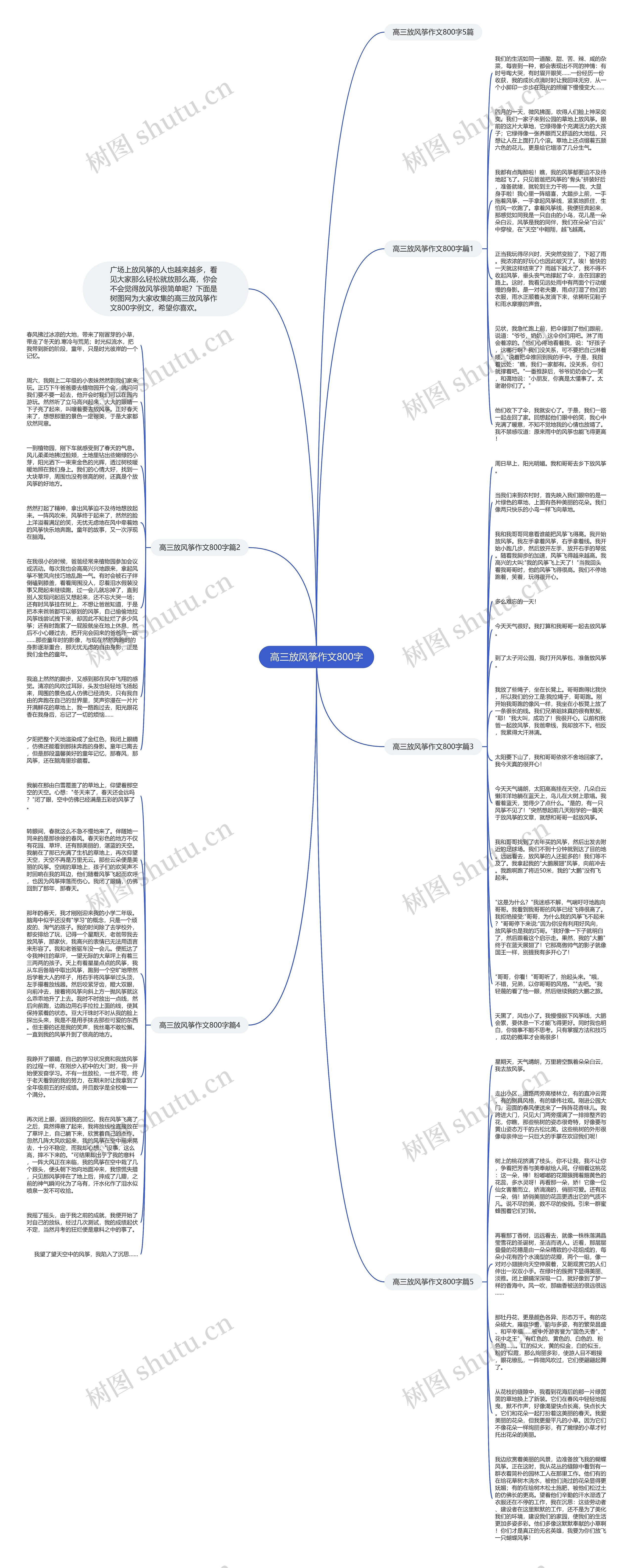 高三放风筝作文800字思维导图