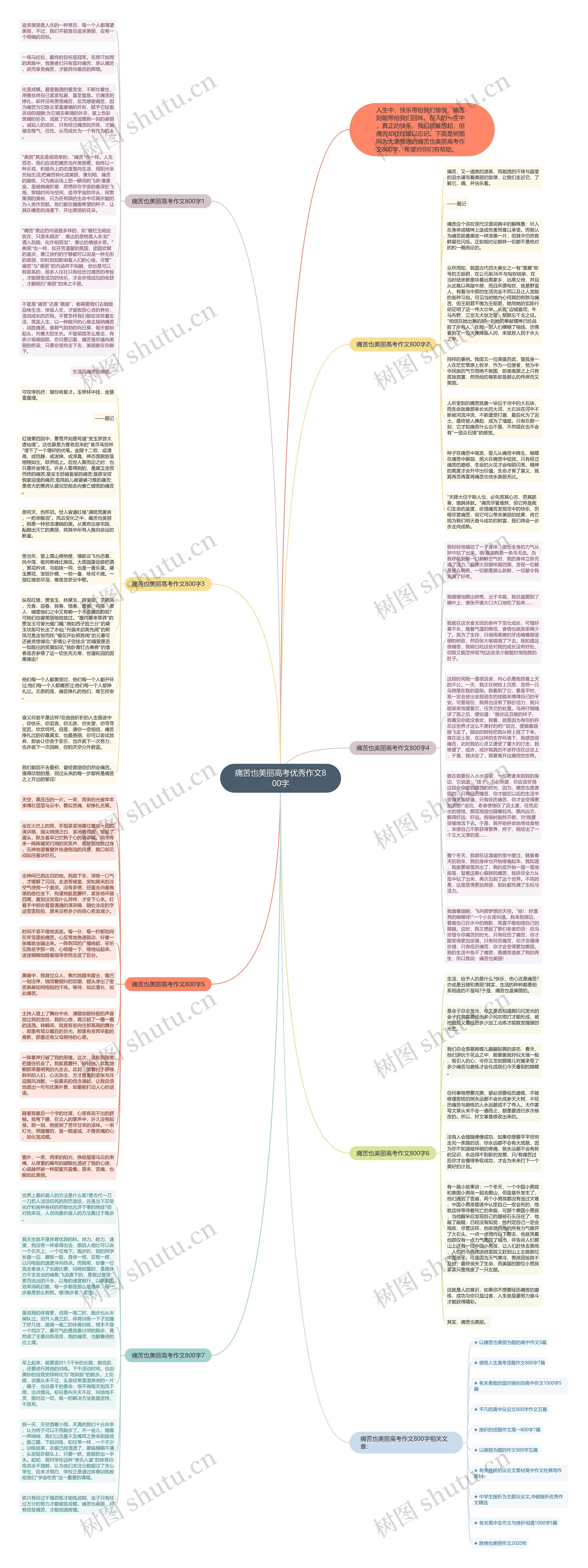 痛苦也美丽高考优秀作文800字思维导图