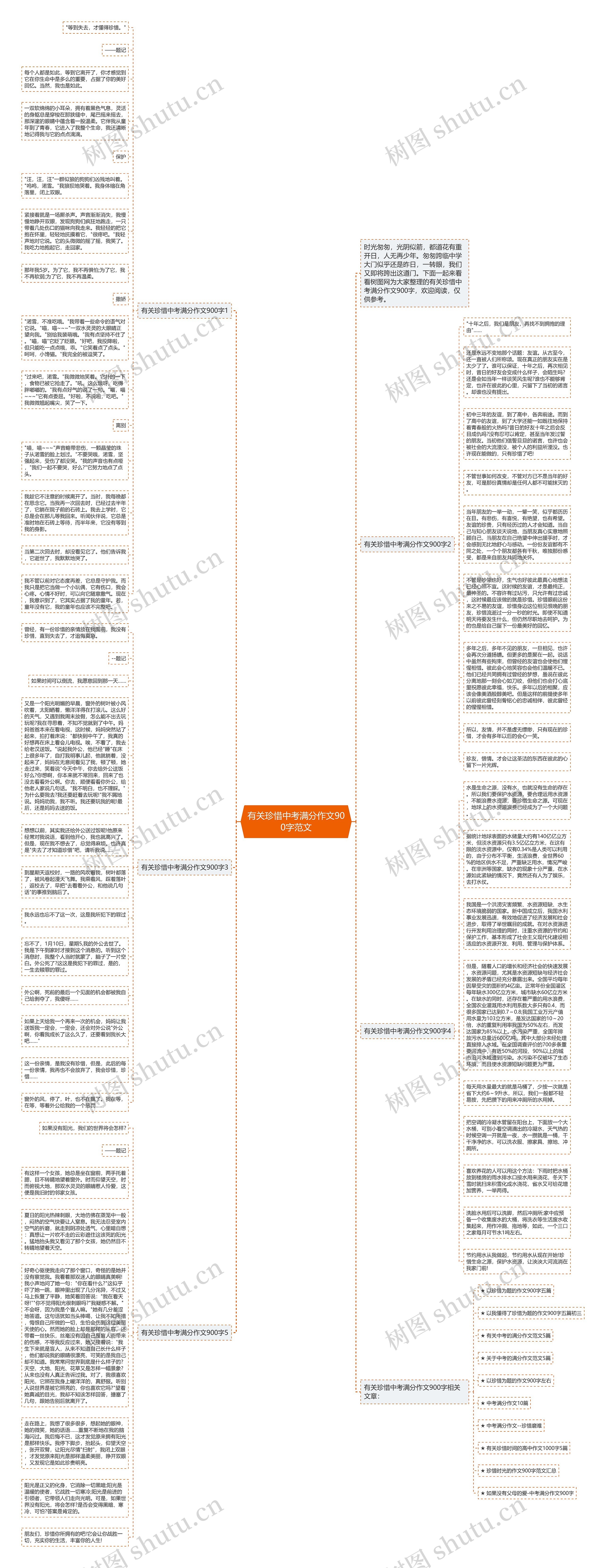 有关珍惜中考满分作文900字范文思维导图
