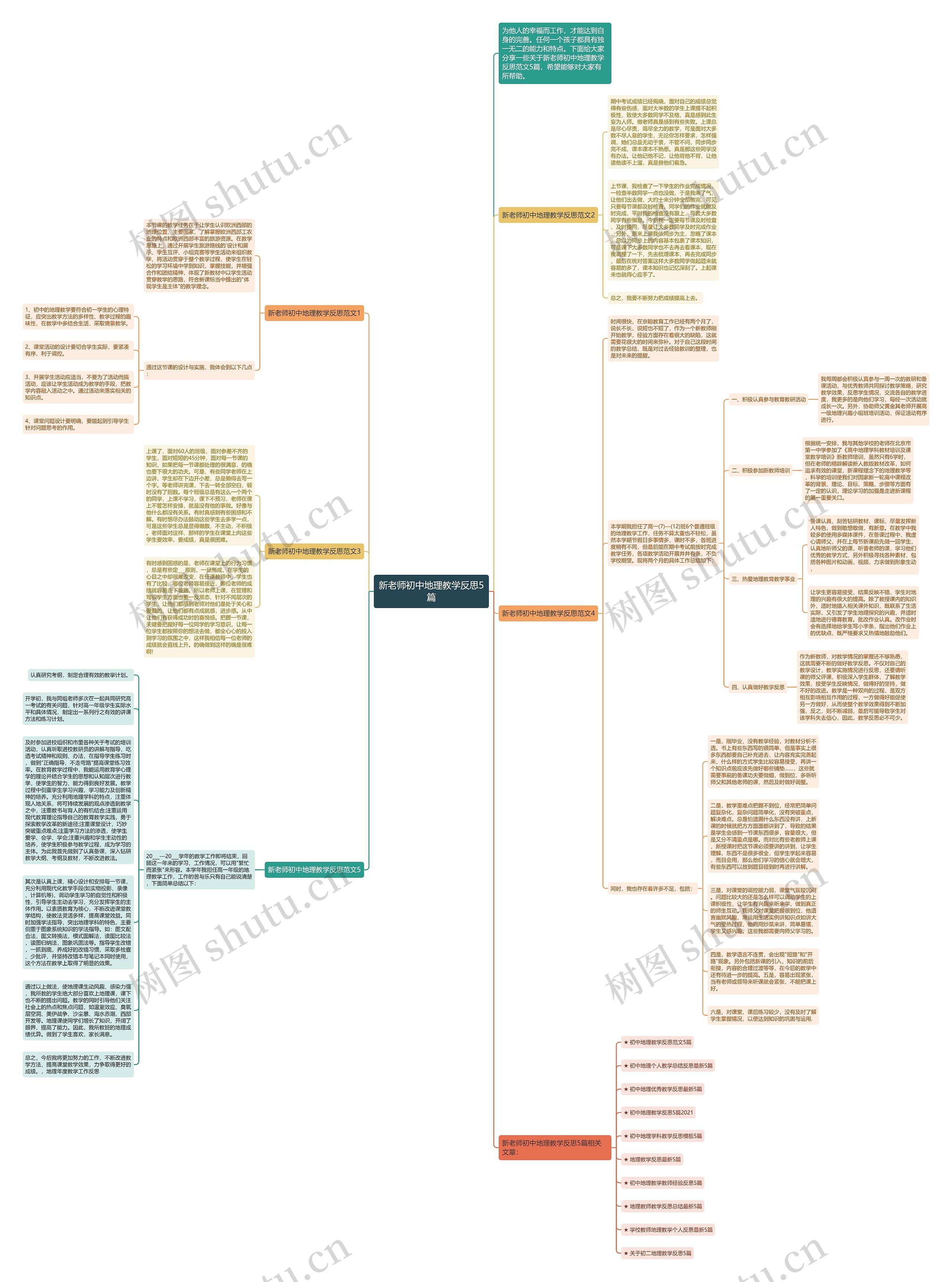 新老师初中地理教学反思5篇思维导图