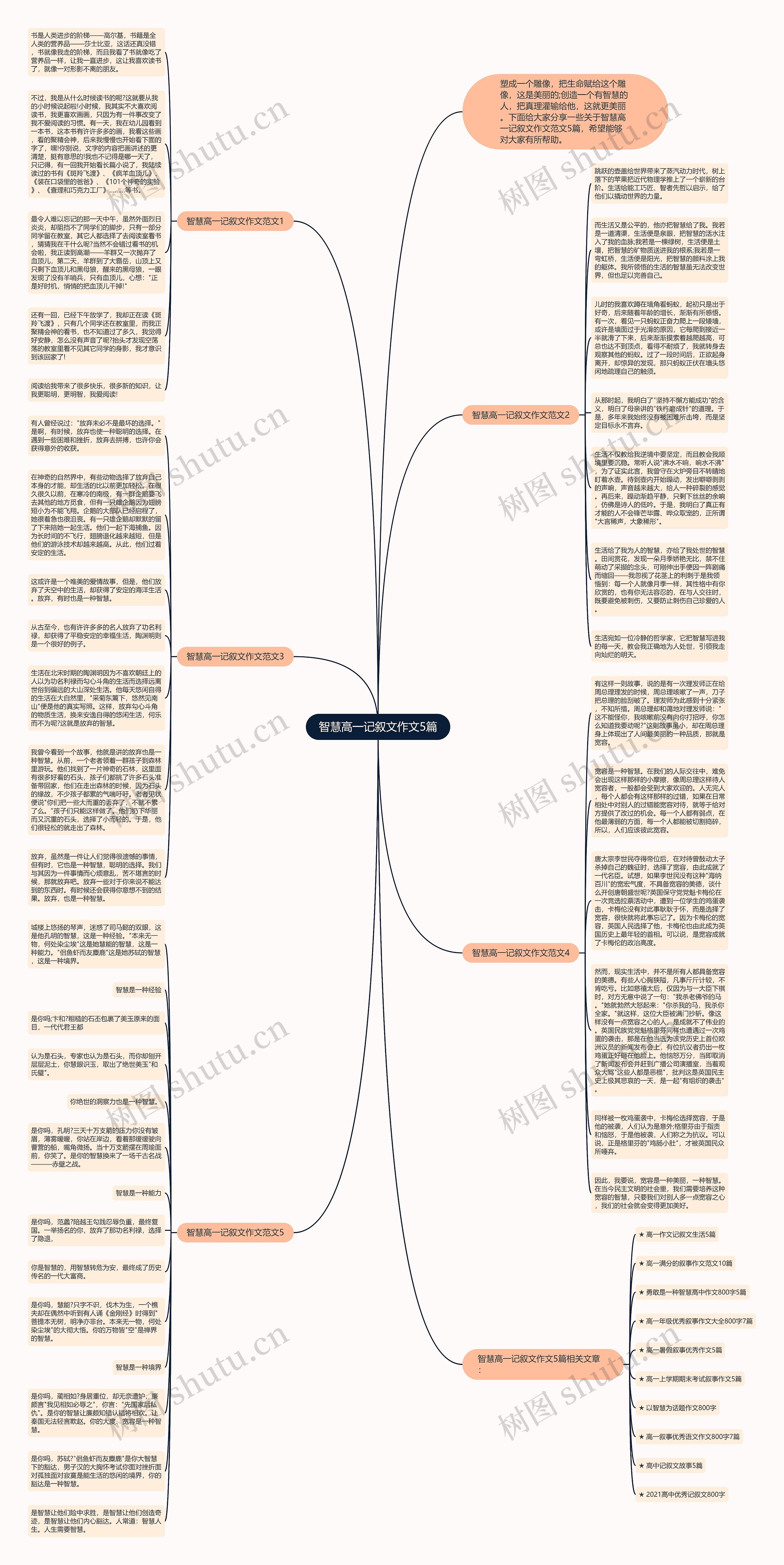 智慧高一记叙文作文5篇思维导图