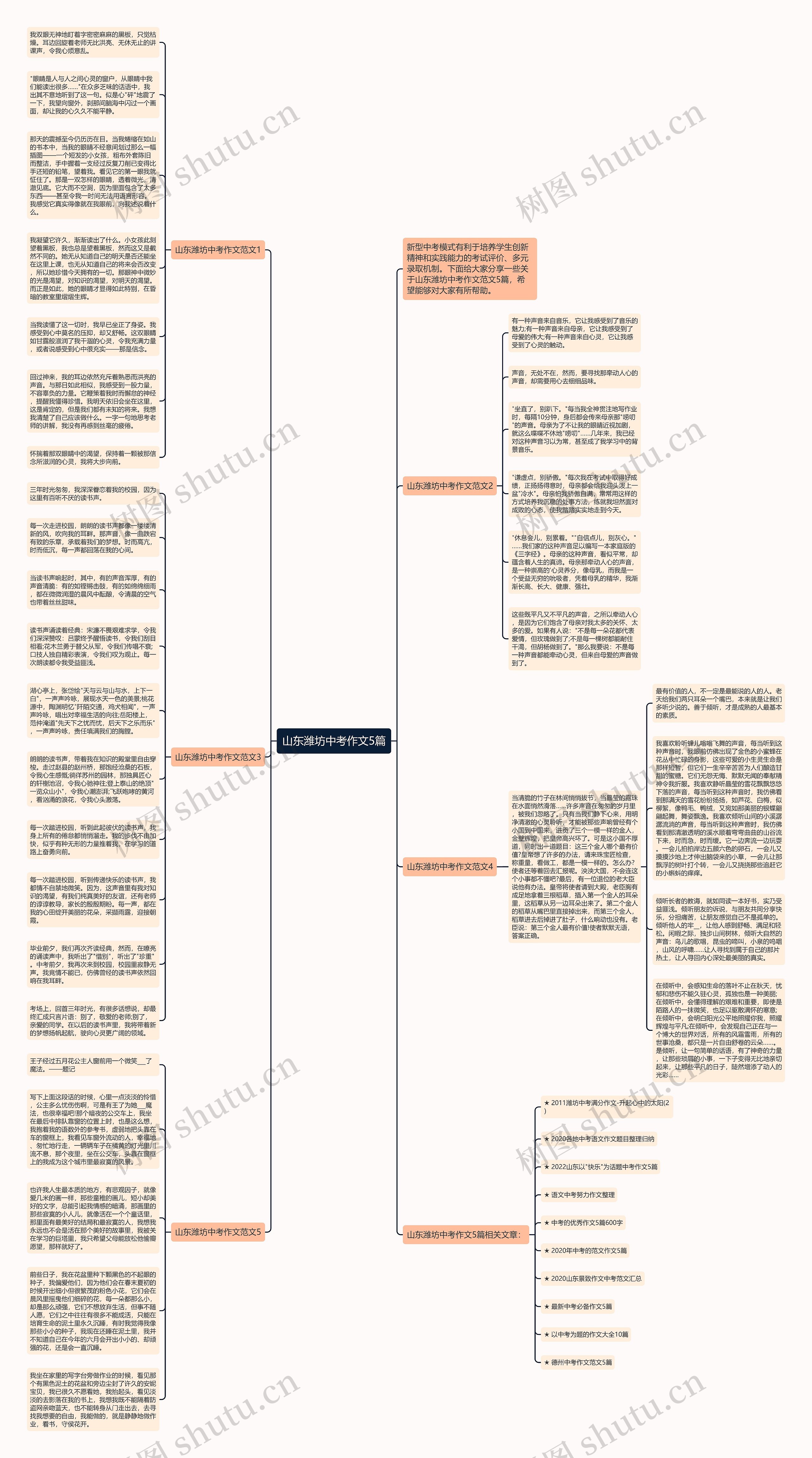 山东潍坊中考作文5篇思维导图
