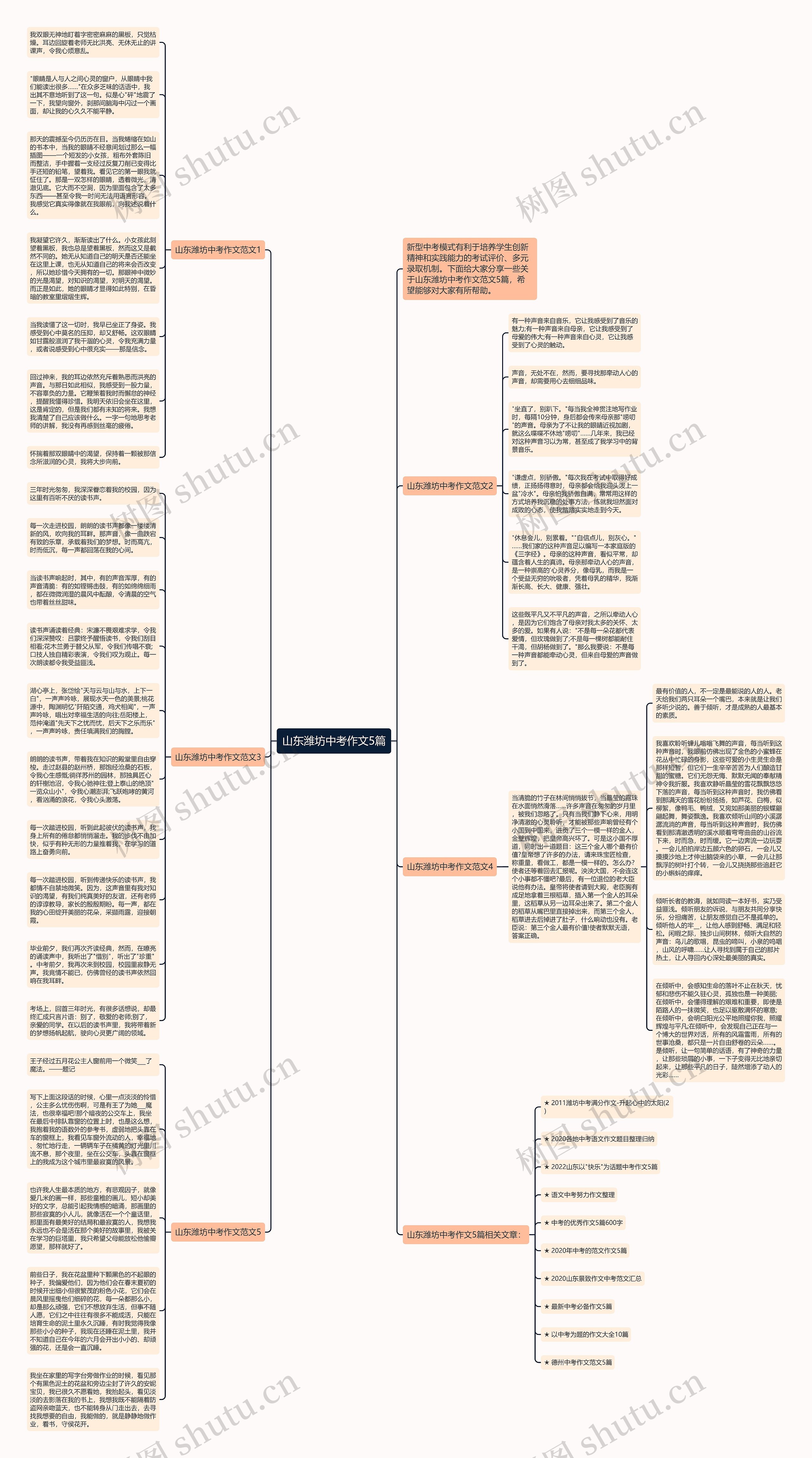 山东潍坊中考作文5篇思维导图高清图 山东潍坊中考作文5篇思维导图