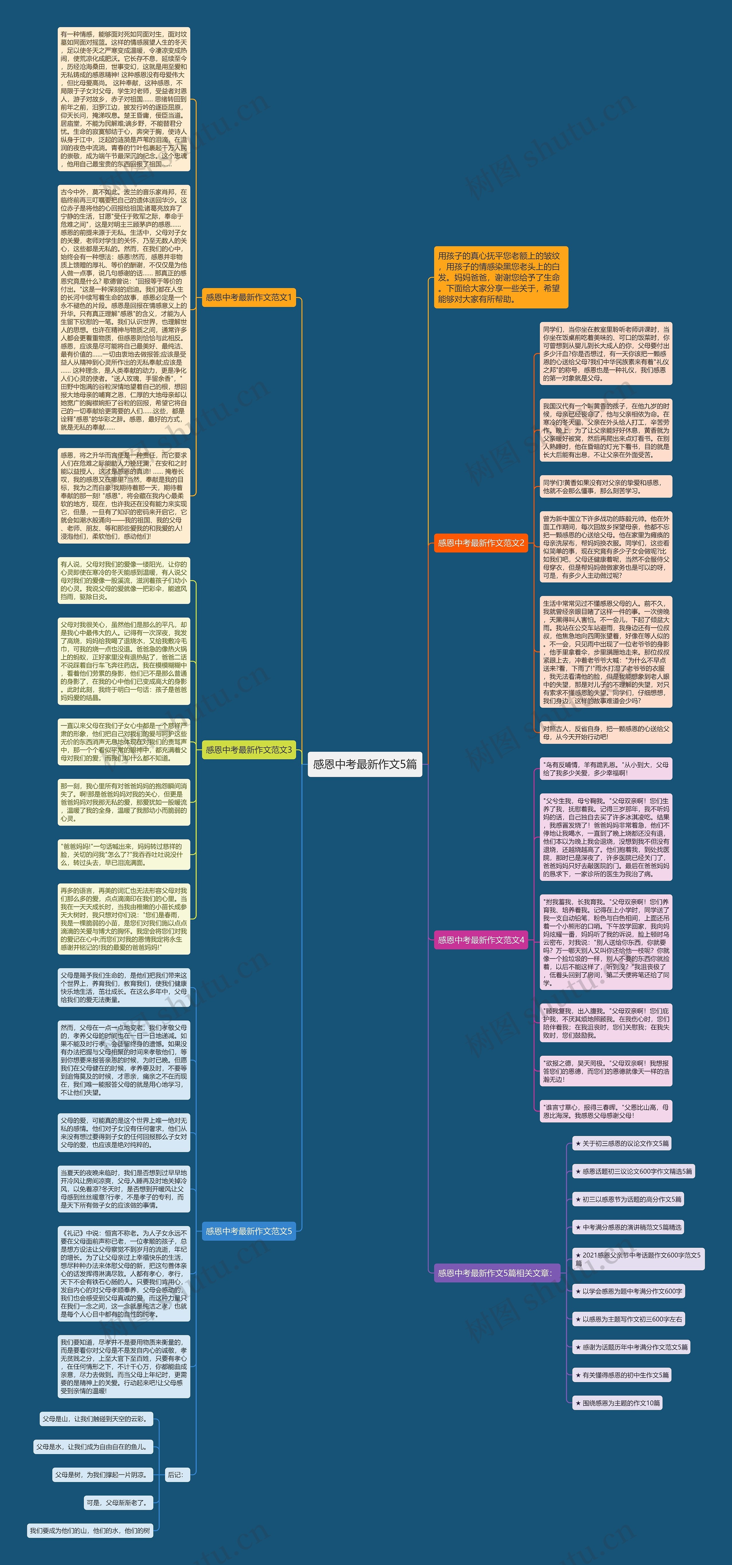 感恩中考最新作文5篇思维导图