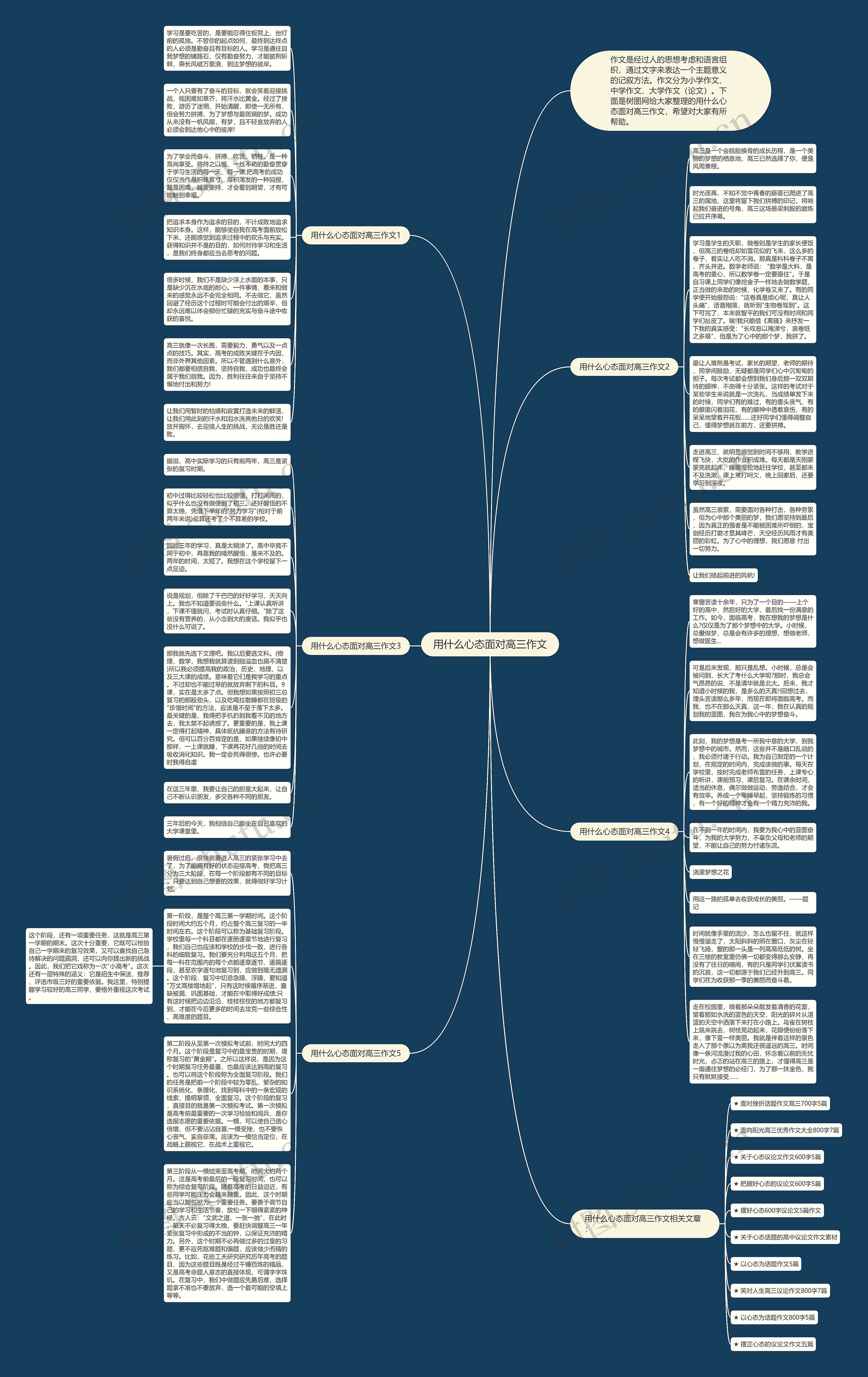 用什么心态面对高三作文思维导图