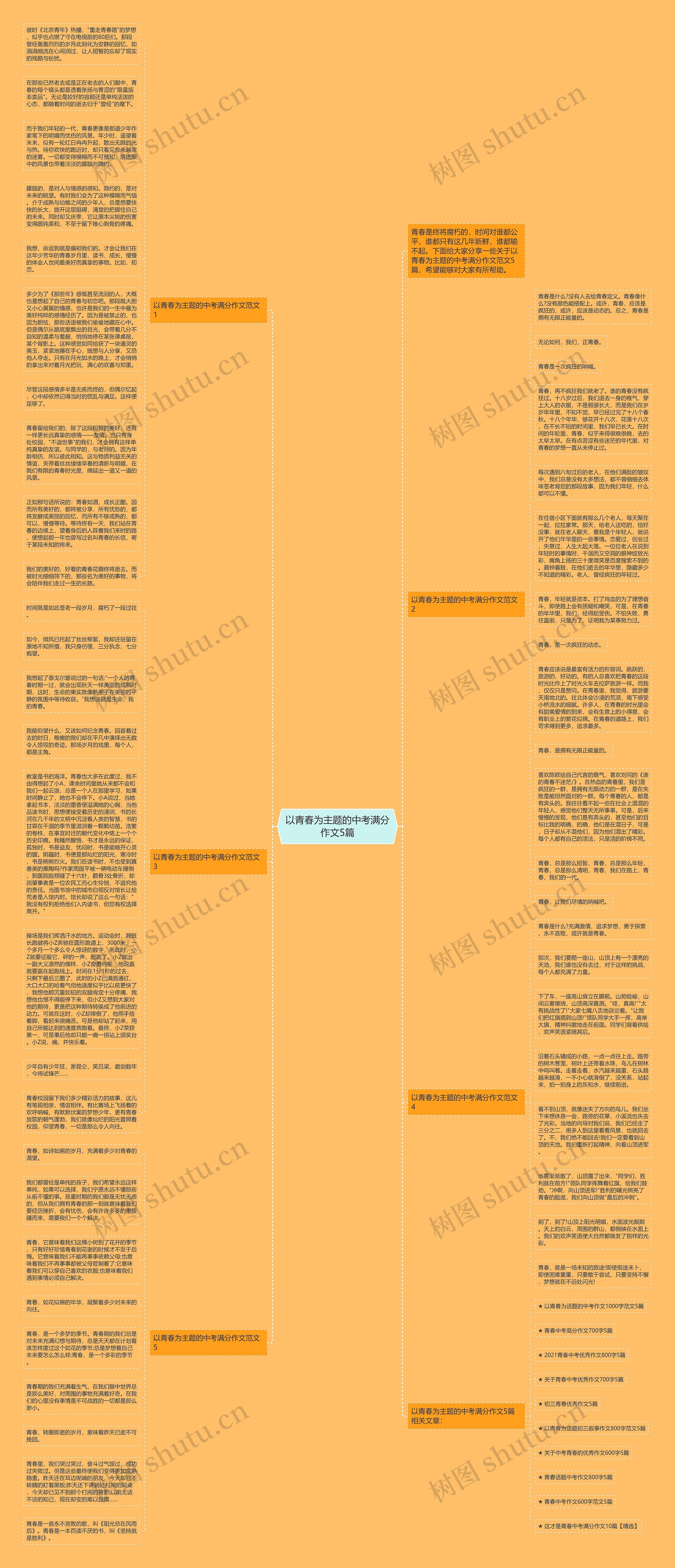 以青春为主题的中考满分作文5篇思维导图