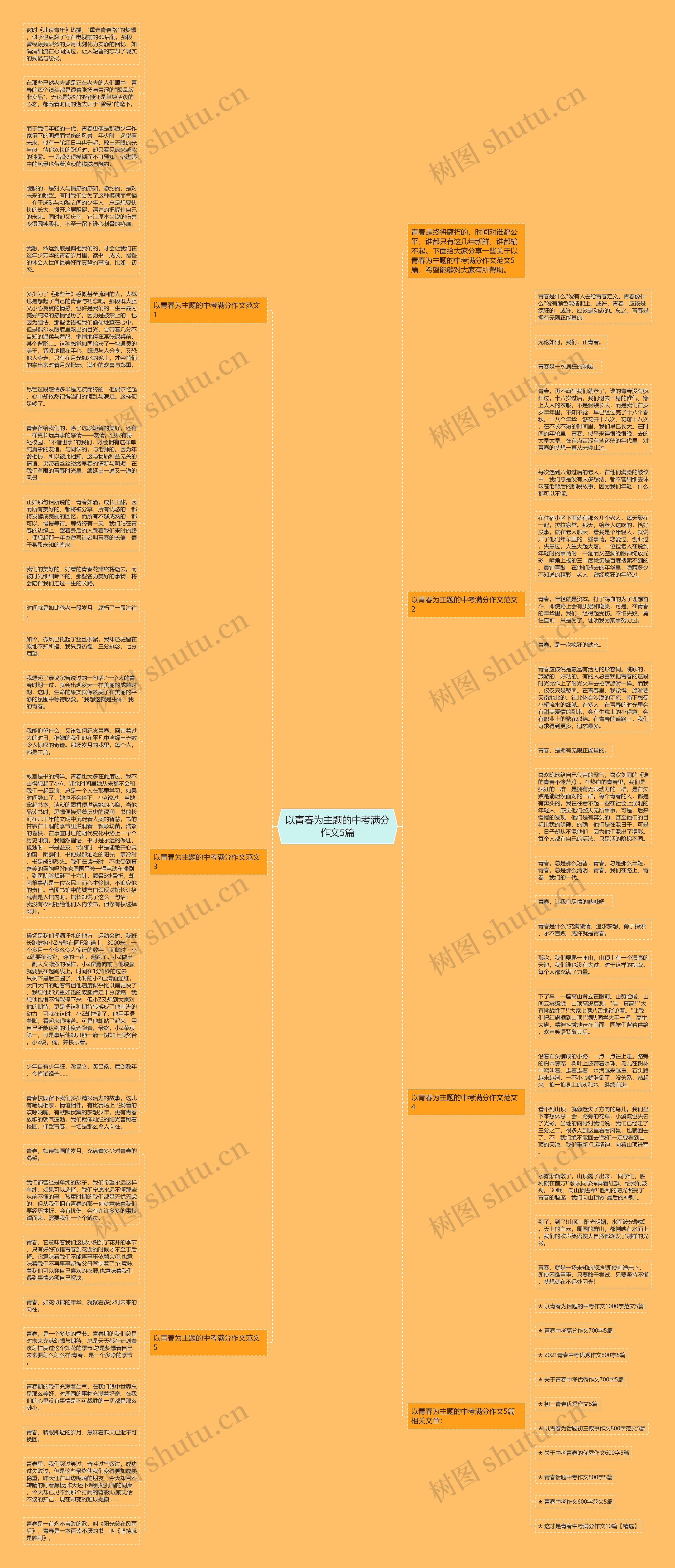 以青春为主题的中考满分作文5篇思维导图高清图 以青春为主题的中考满分作文5篇思维导图