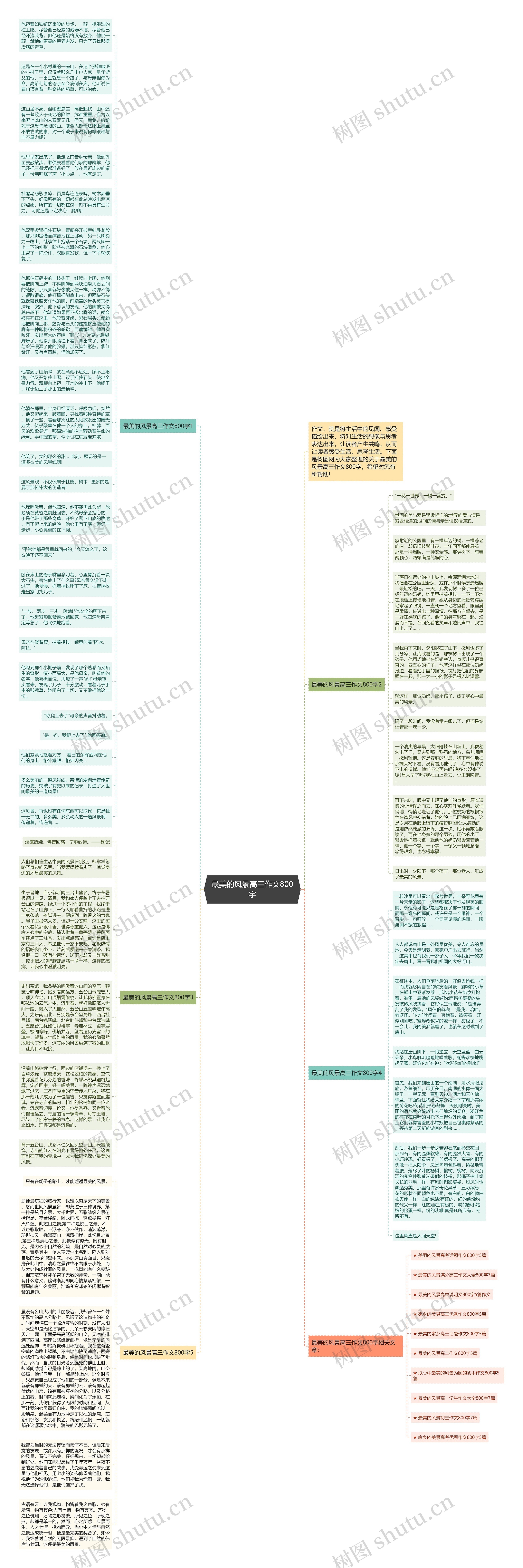 最美的风景高三作文800字思维导图