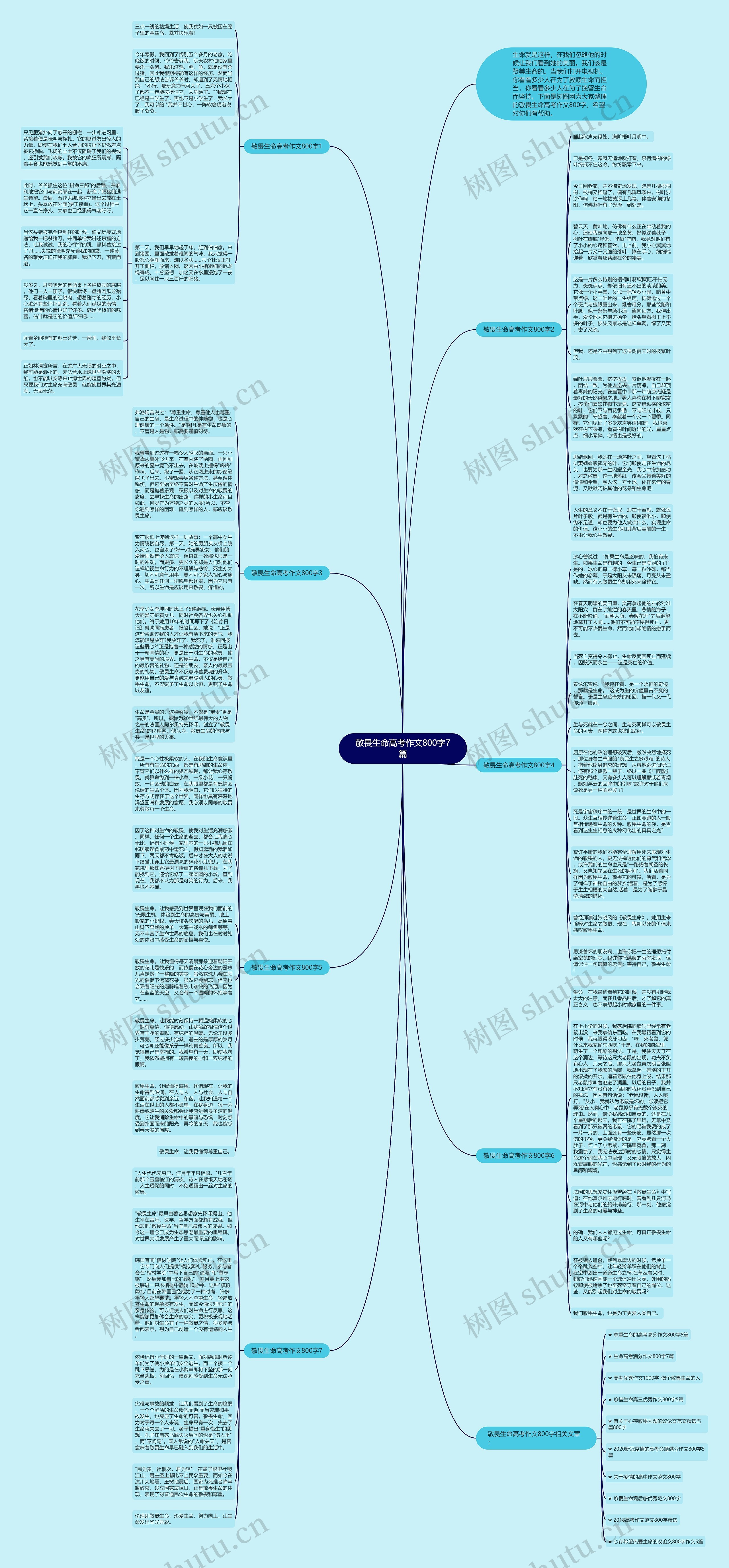 敬畏生命高考作文800字7篇思维导图