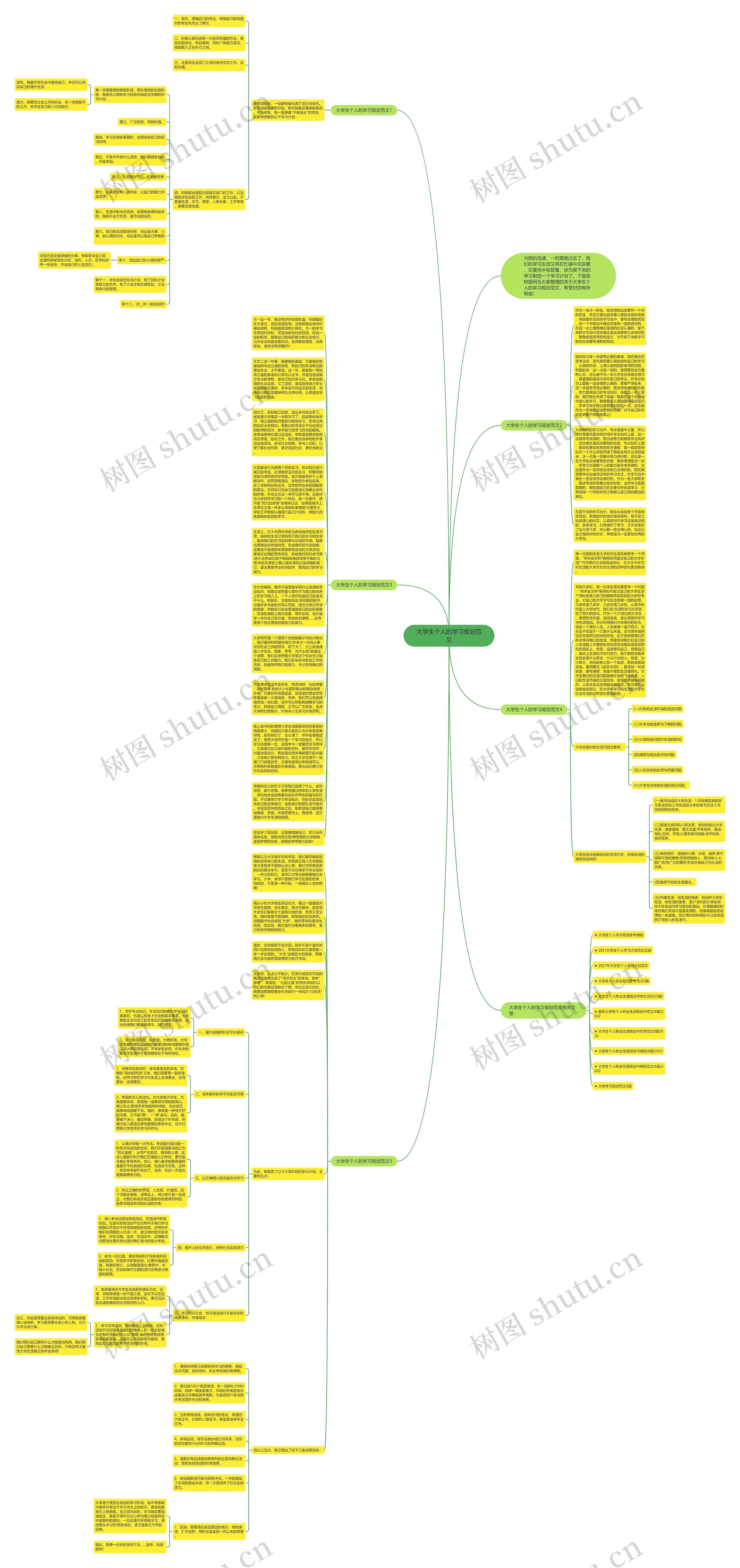 大学生个人的学习规划范文思维导图
