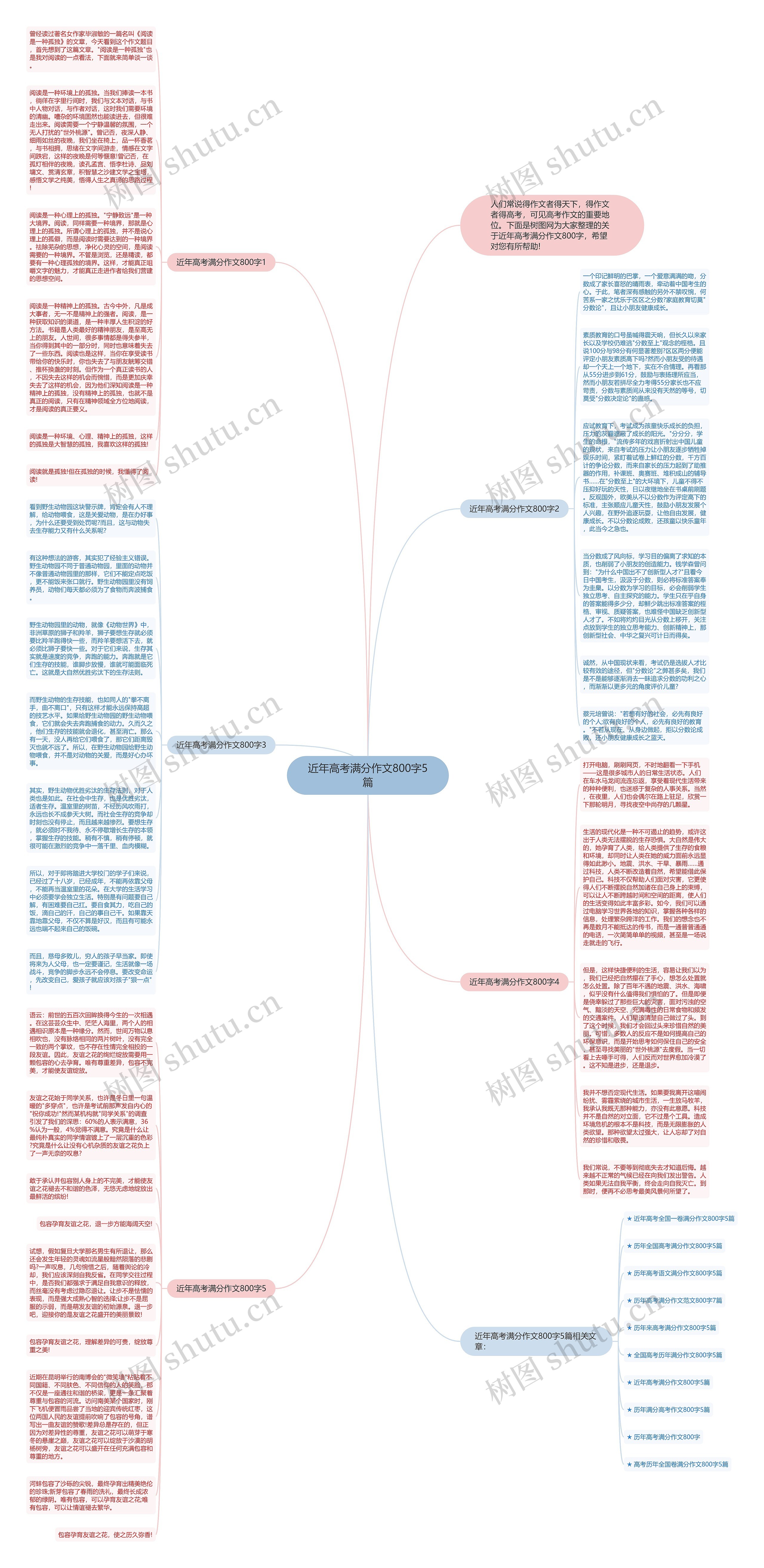 近年高考满分作文800字5篇思维导图
