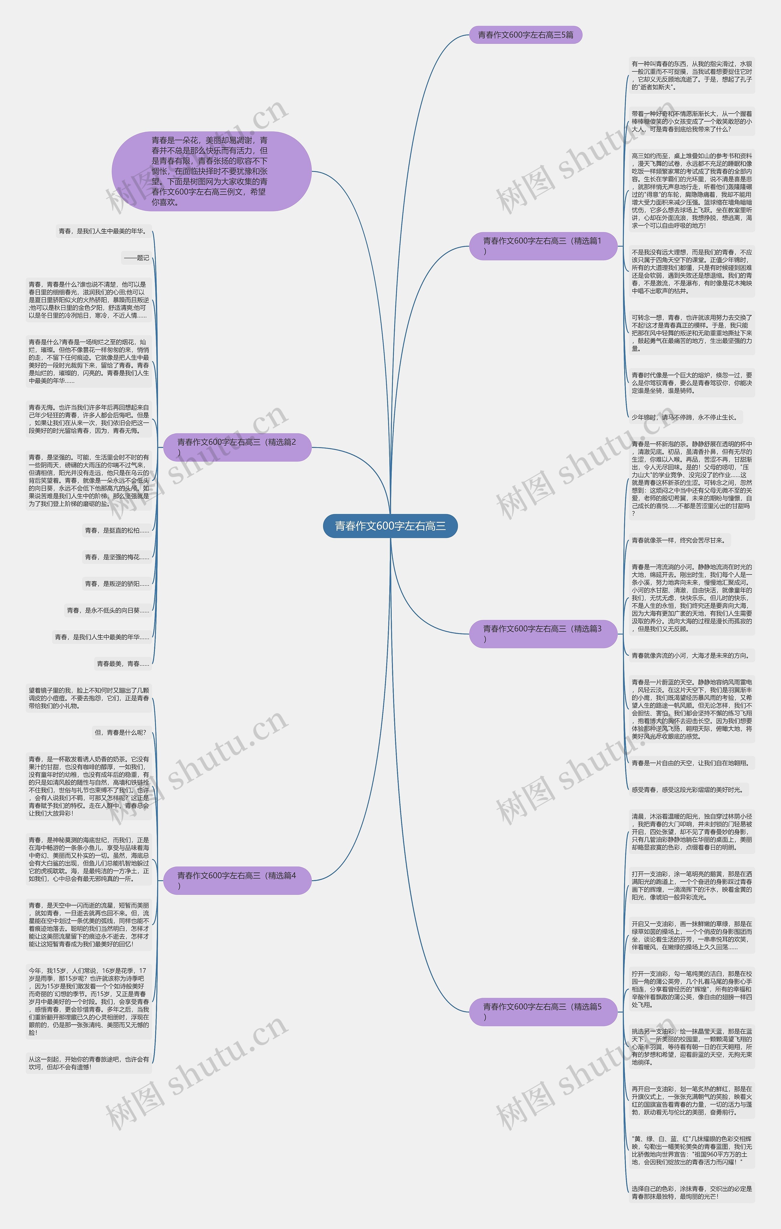 青春作文600字左右高三思维导图