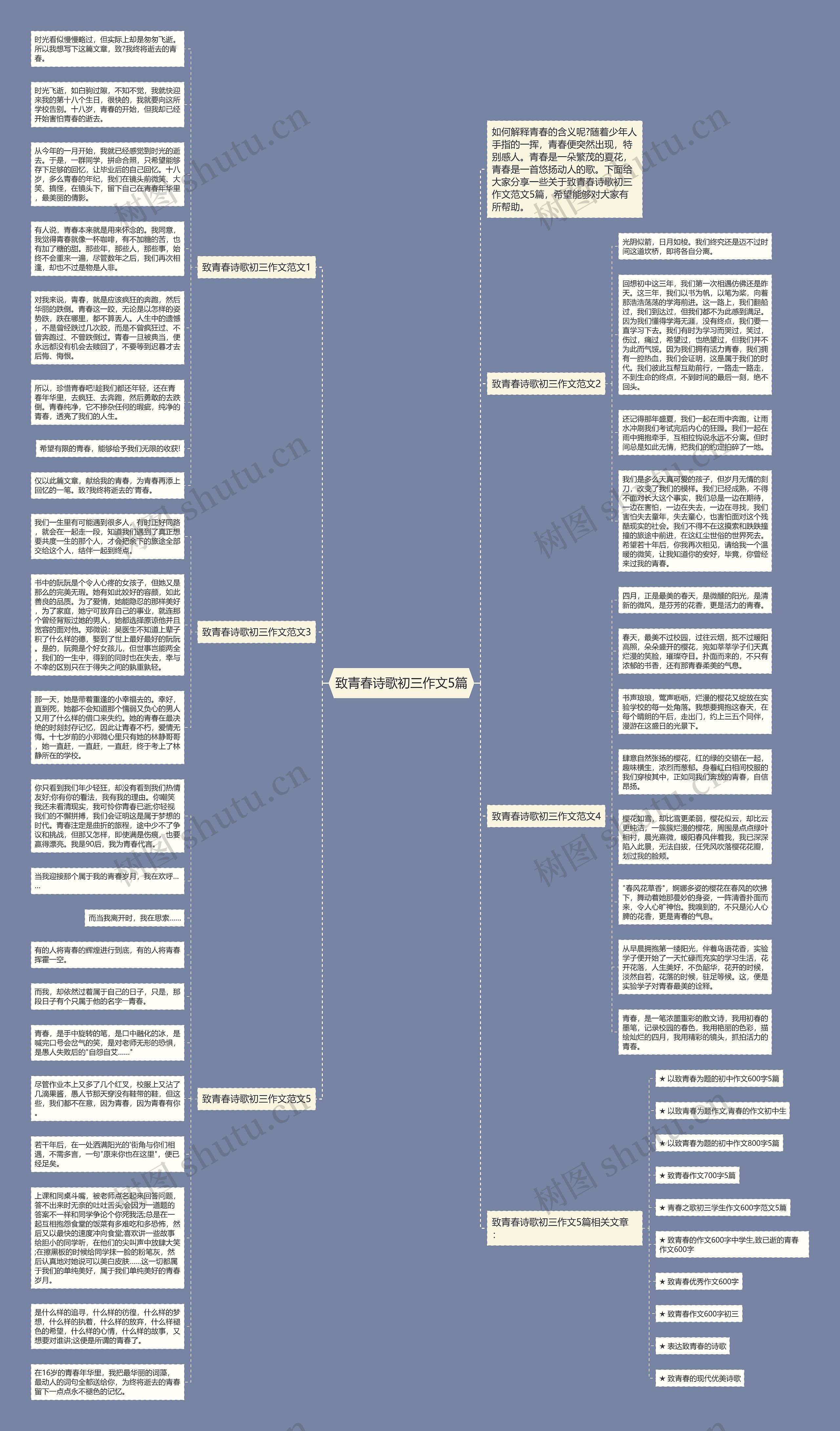 致青春诗歌初三作文5篇思维导图