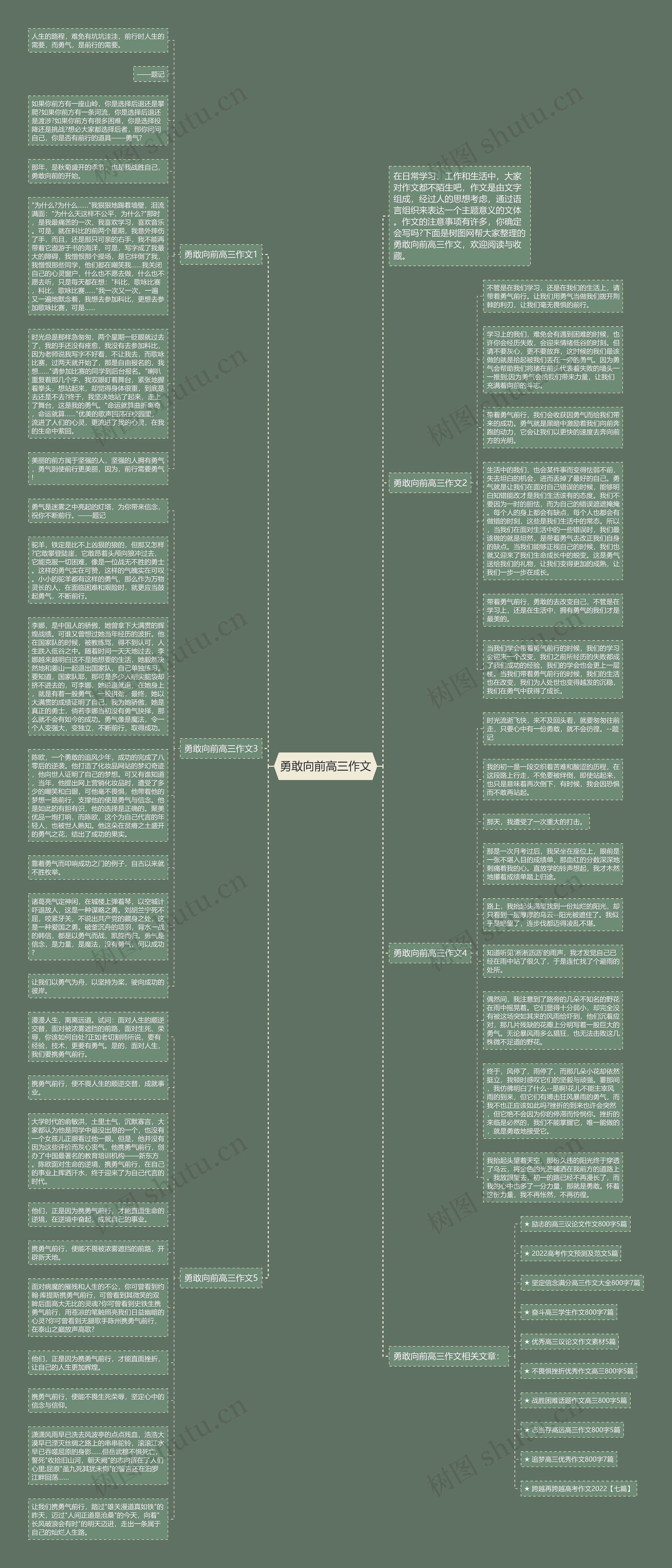 勇敢向前高三作文思维导图