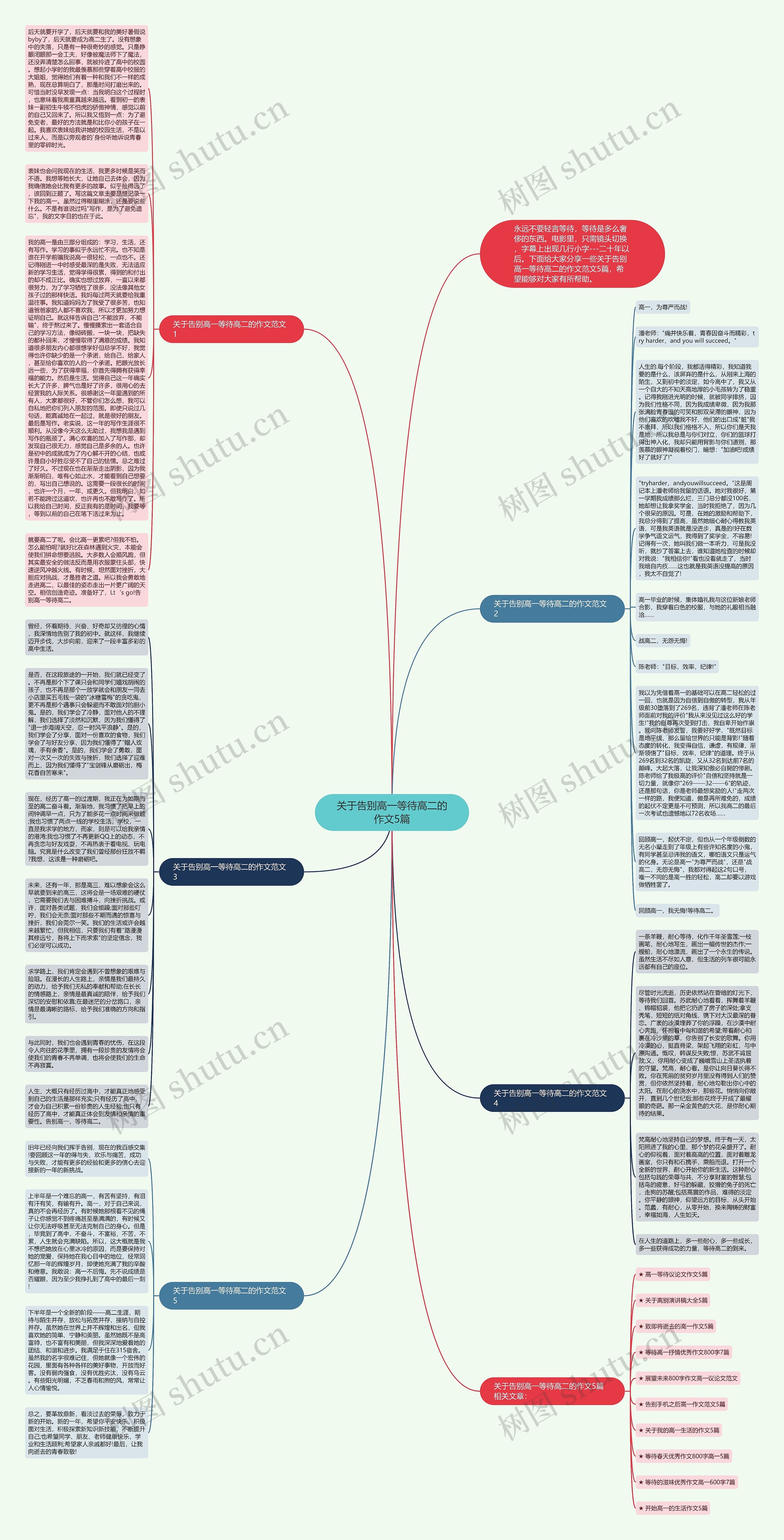 关于告别高一等待高二的作文5篇思维导图