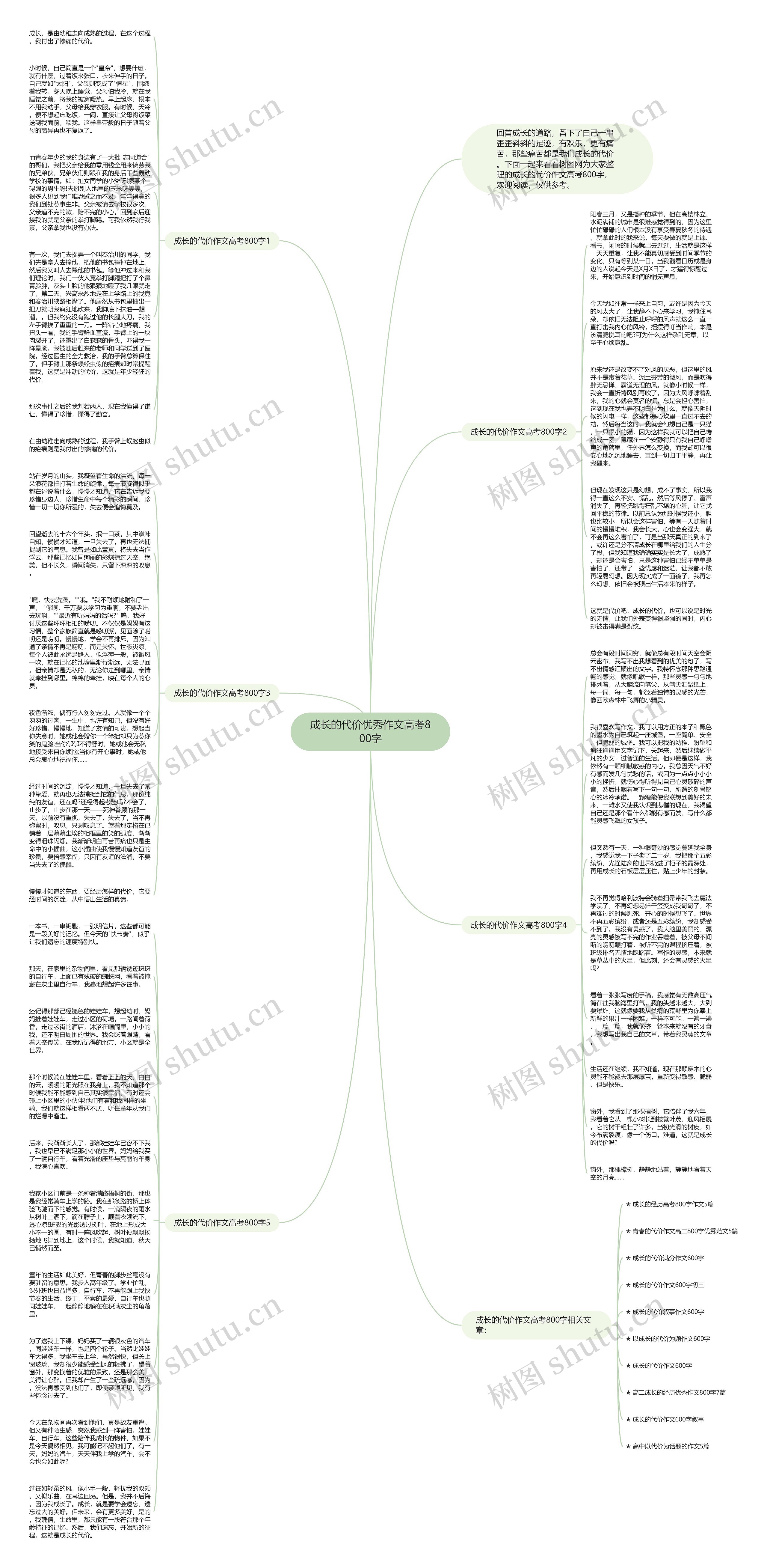 成长的代价优秀作文高考800字思维导图
