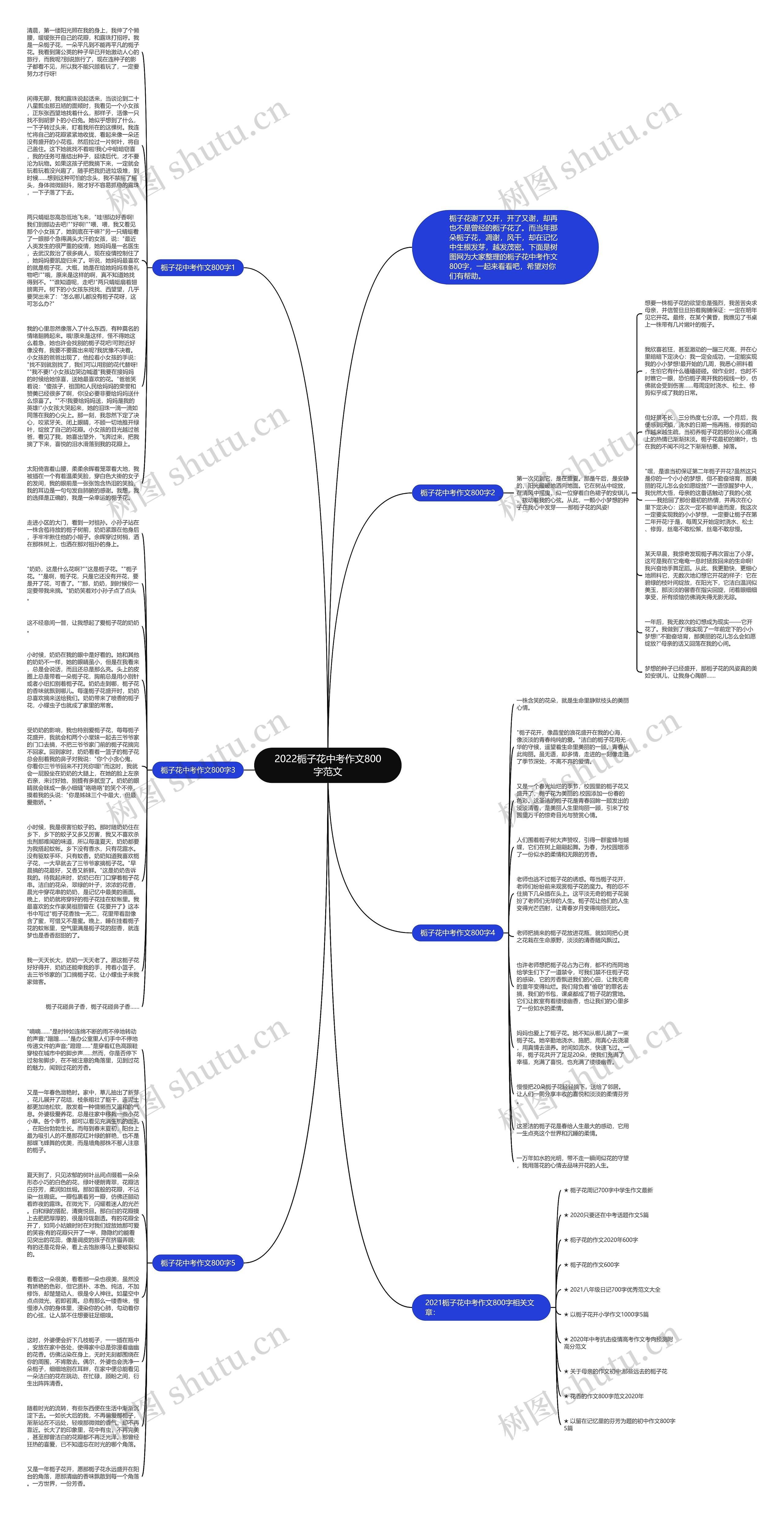 2022栀子花中考作文800字范文思维导图