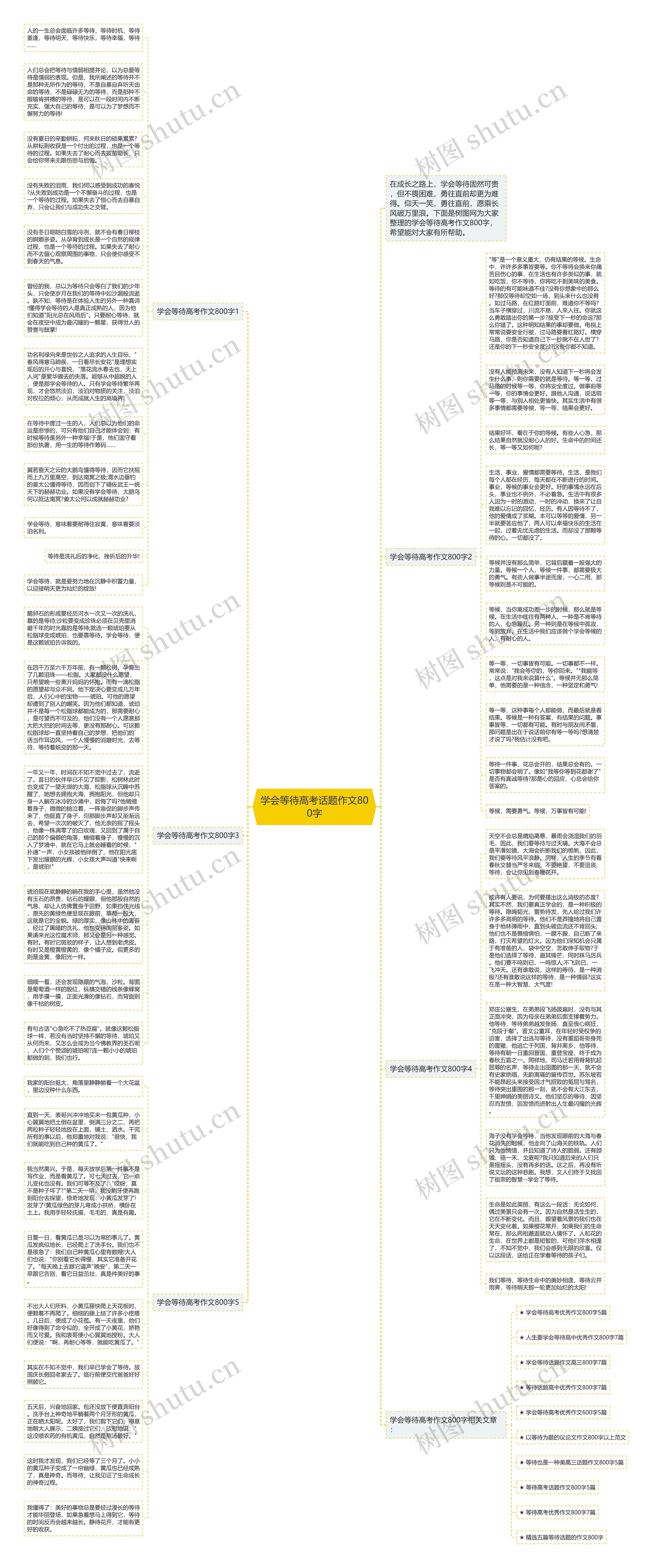 学会等待高考话题作文800字思维导图
