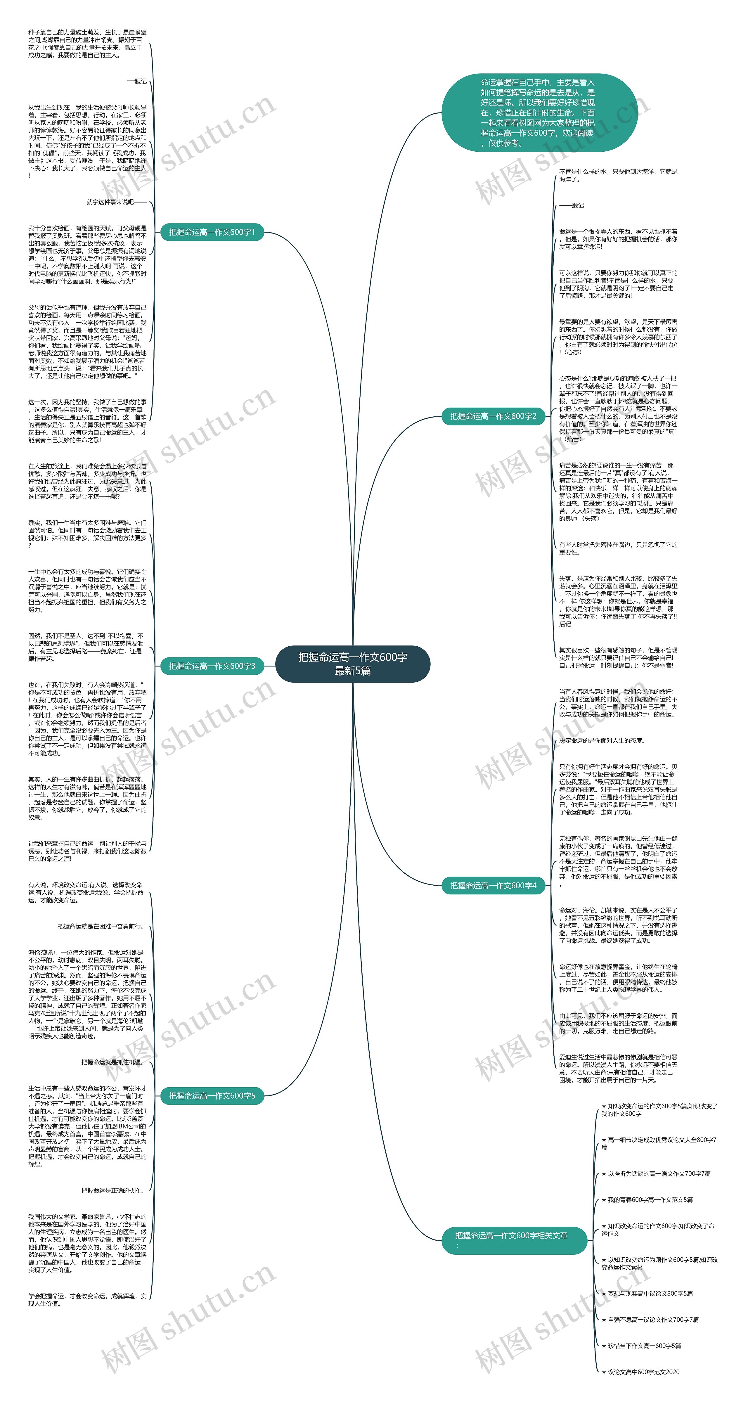把握命运高一作文600字最新5篇思维导图