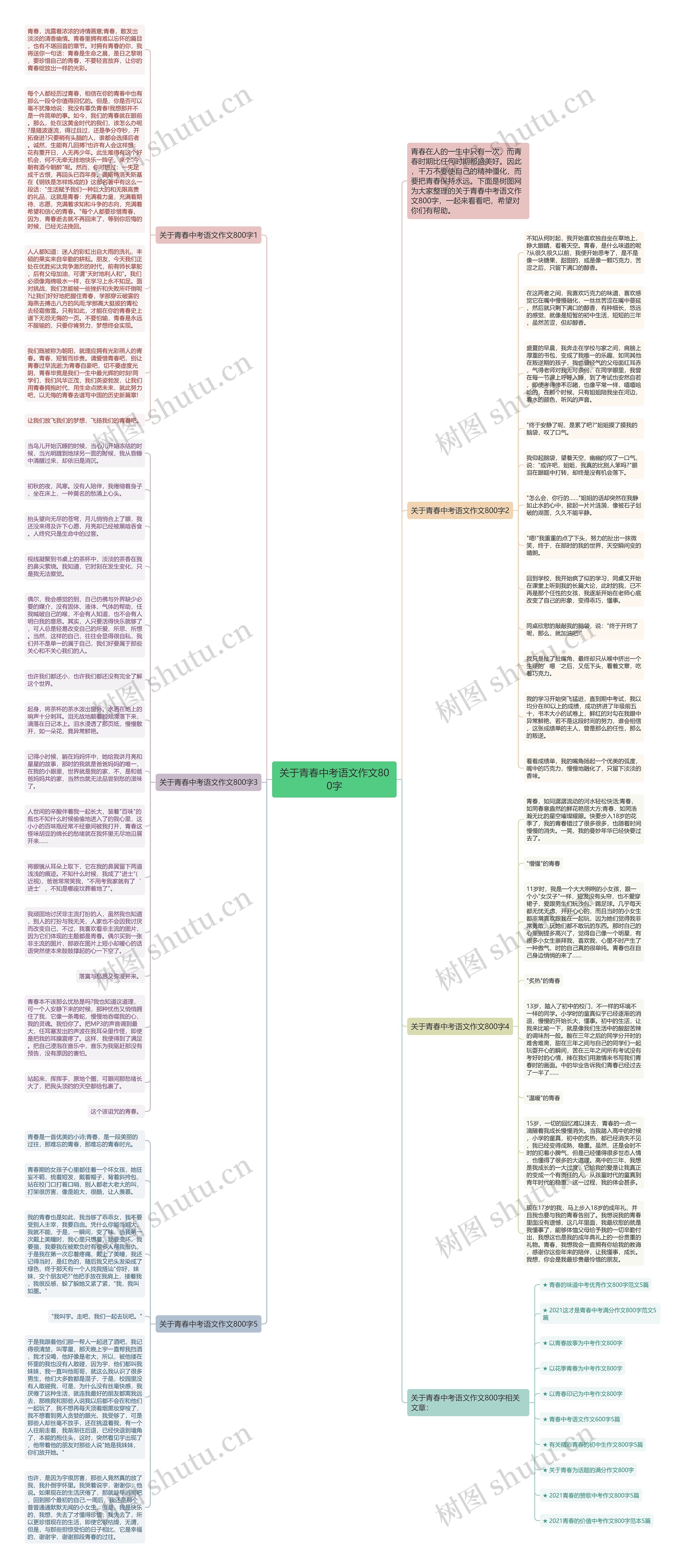 关于青春中考语文作文800字思维导图