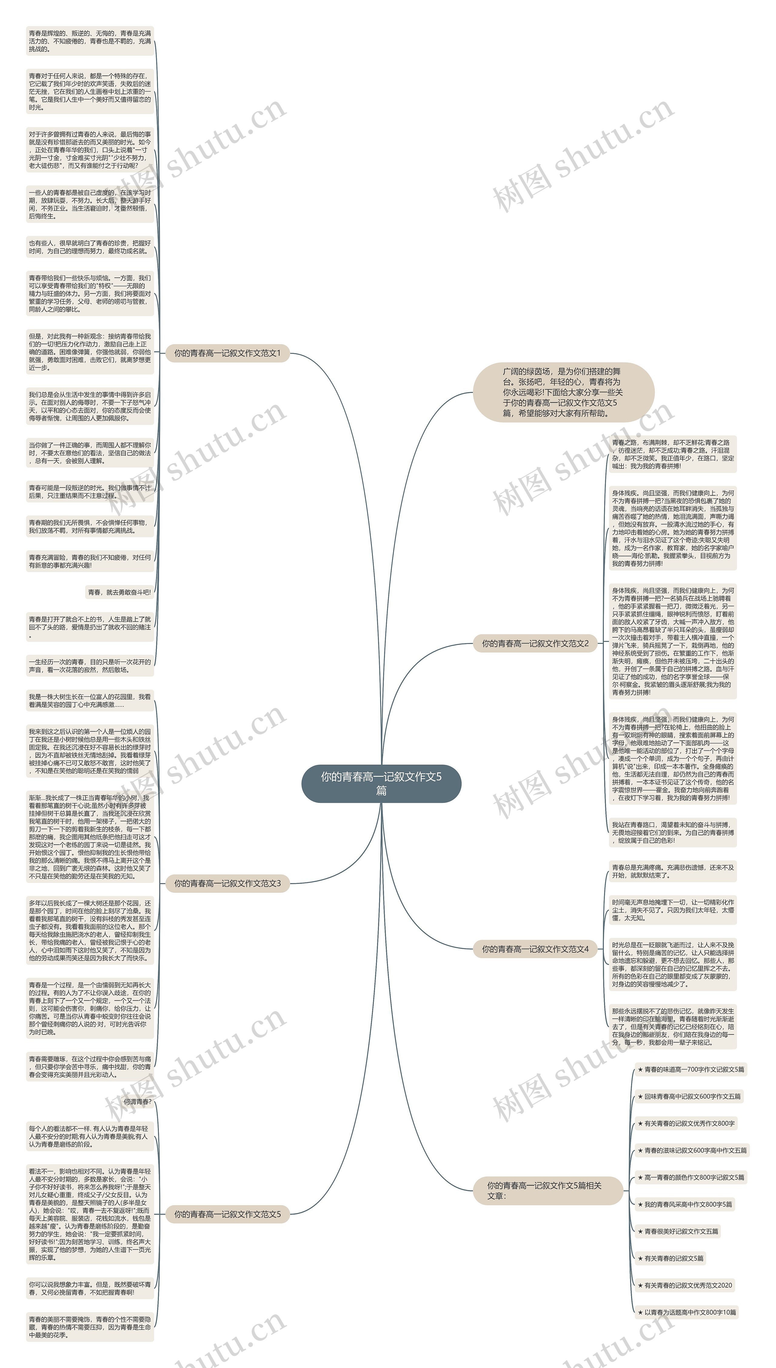 你的青春高一记叙文作文5篇思维导图