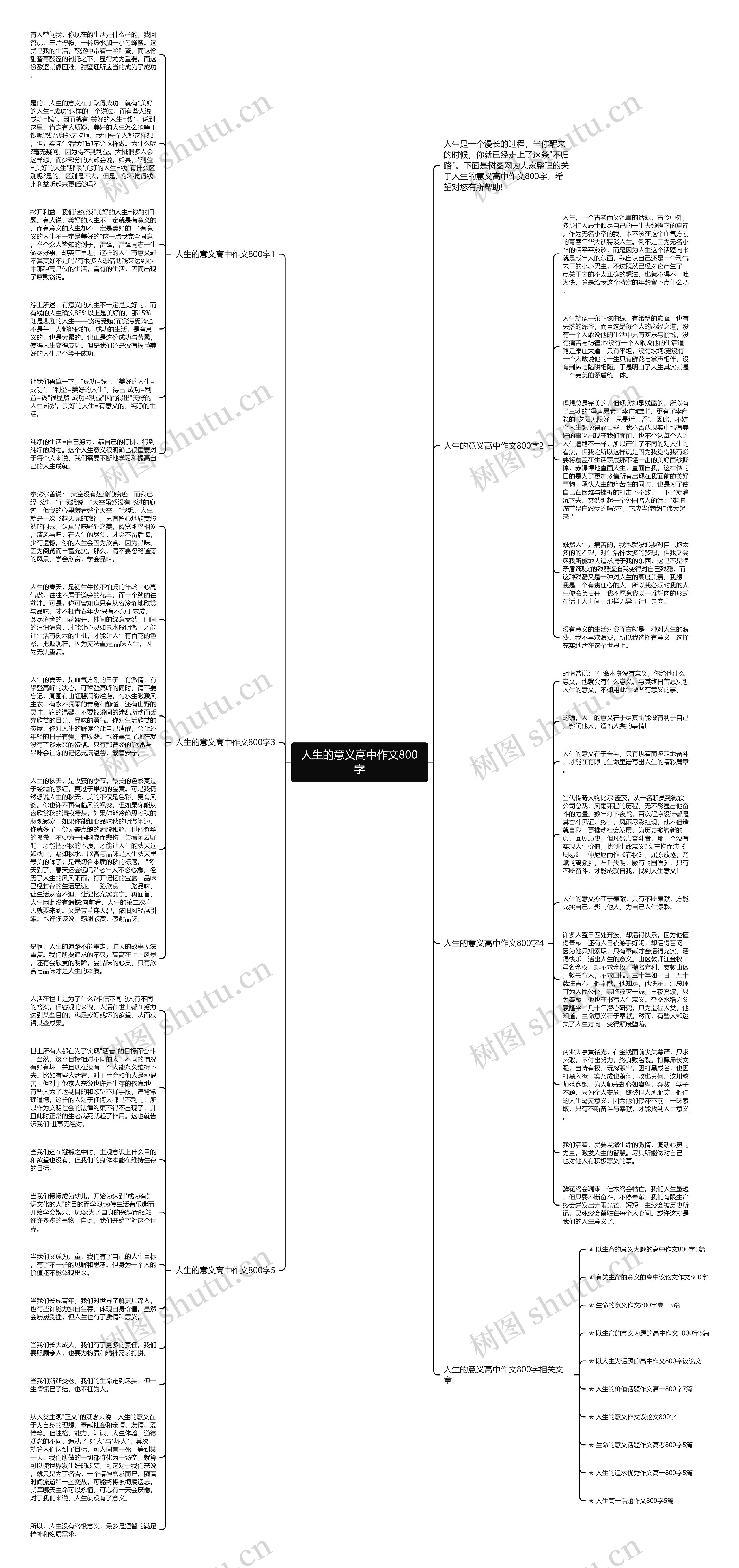 人生的意义高中作文800字思维导图