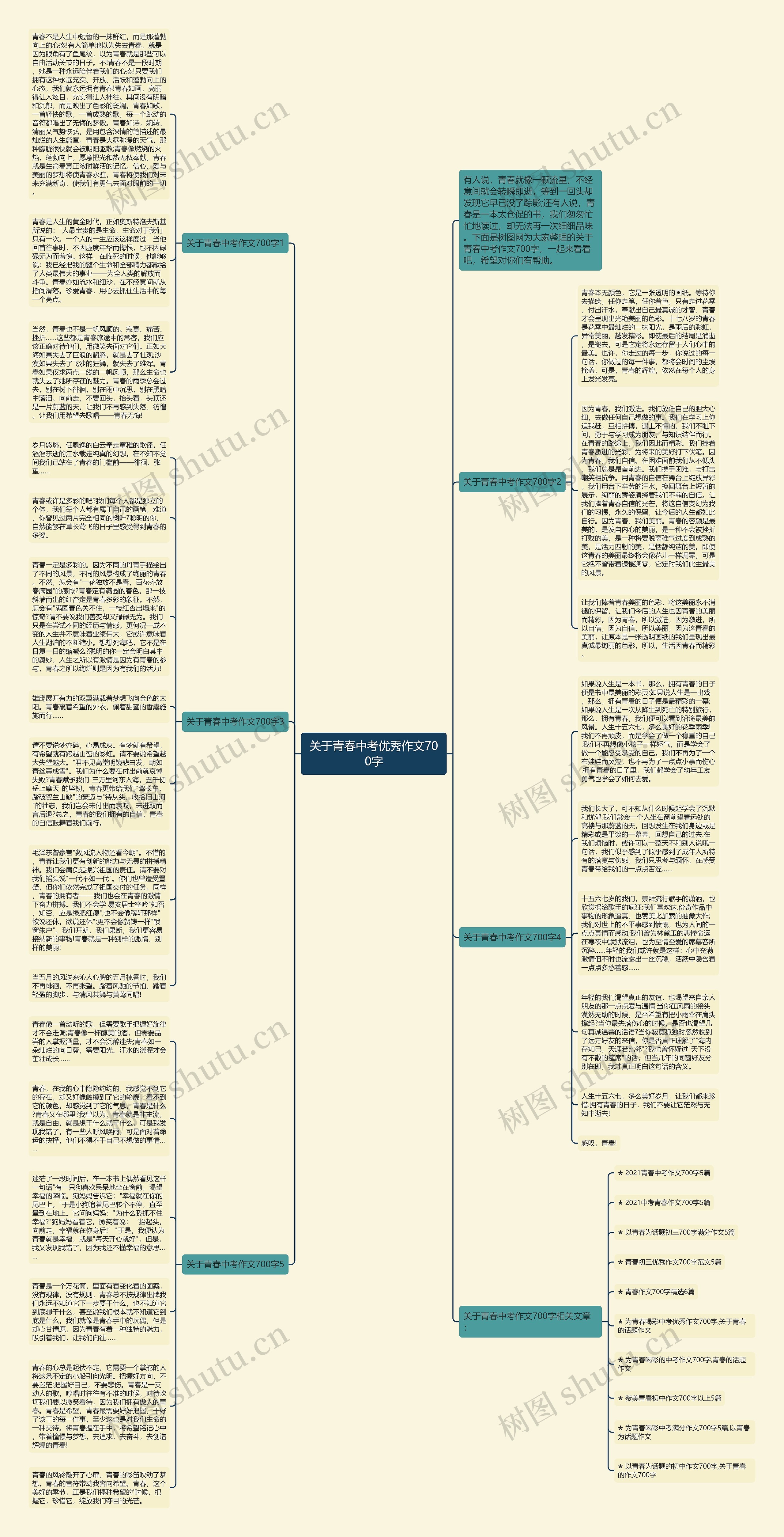 关于青春中考优秀作文700字思维导图