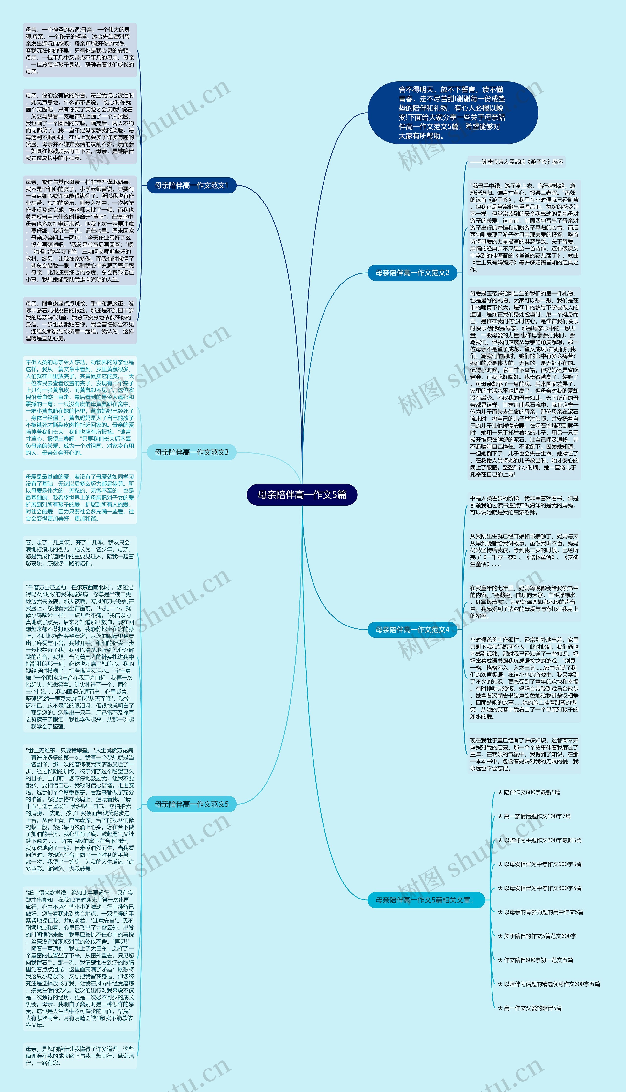 母亲陪伴高一作文5篇思维导图