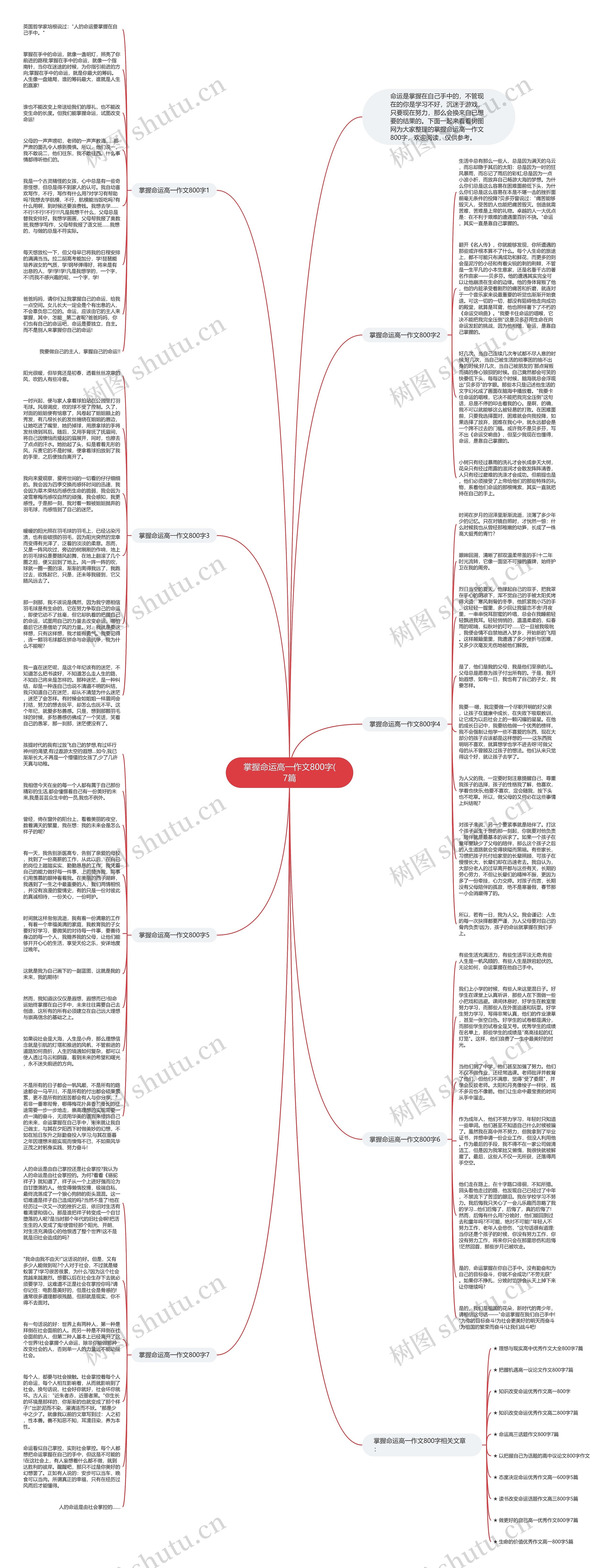 掌握命运高一作文800字(7篇思维导图