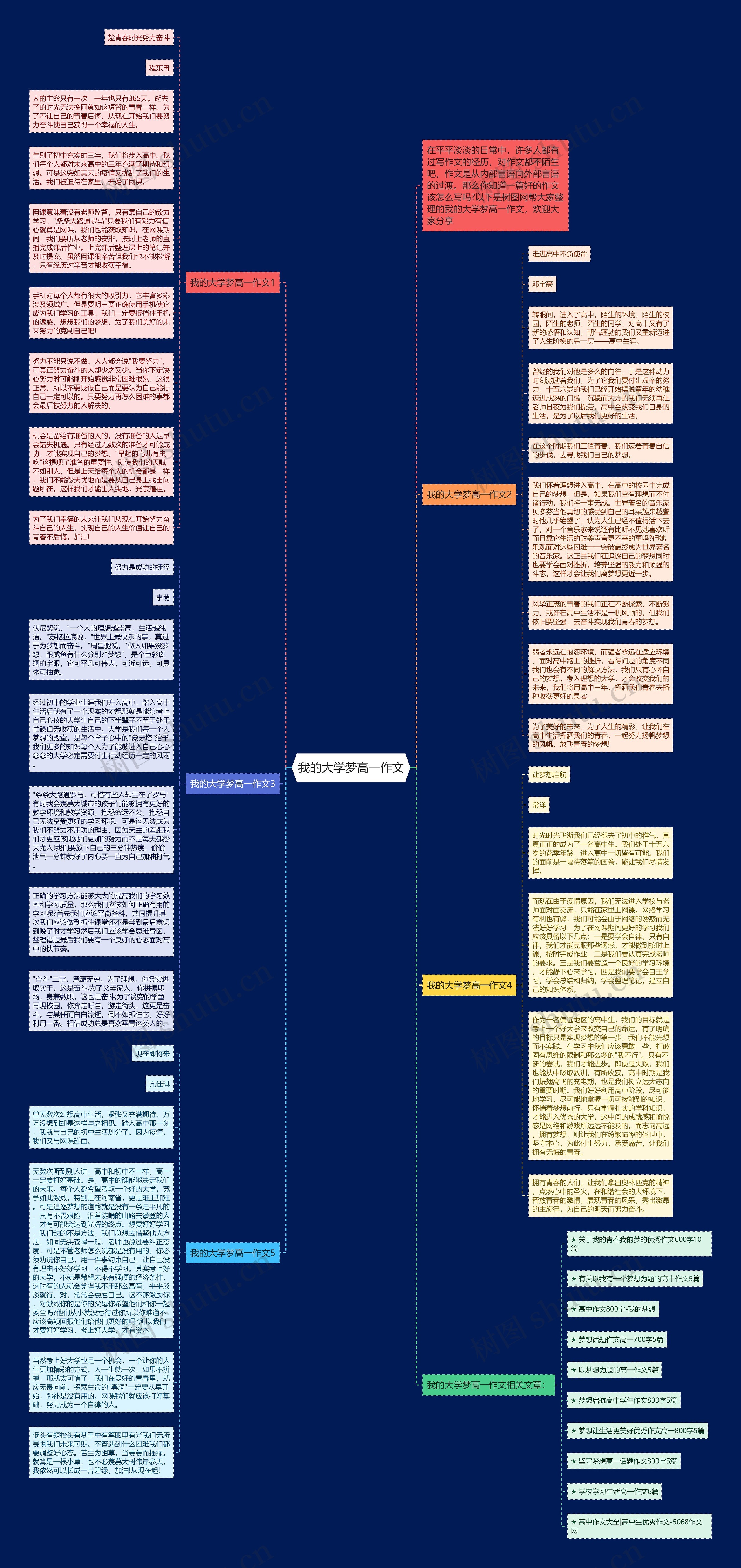 我的大学梦高一作文思维导图