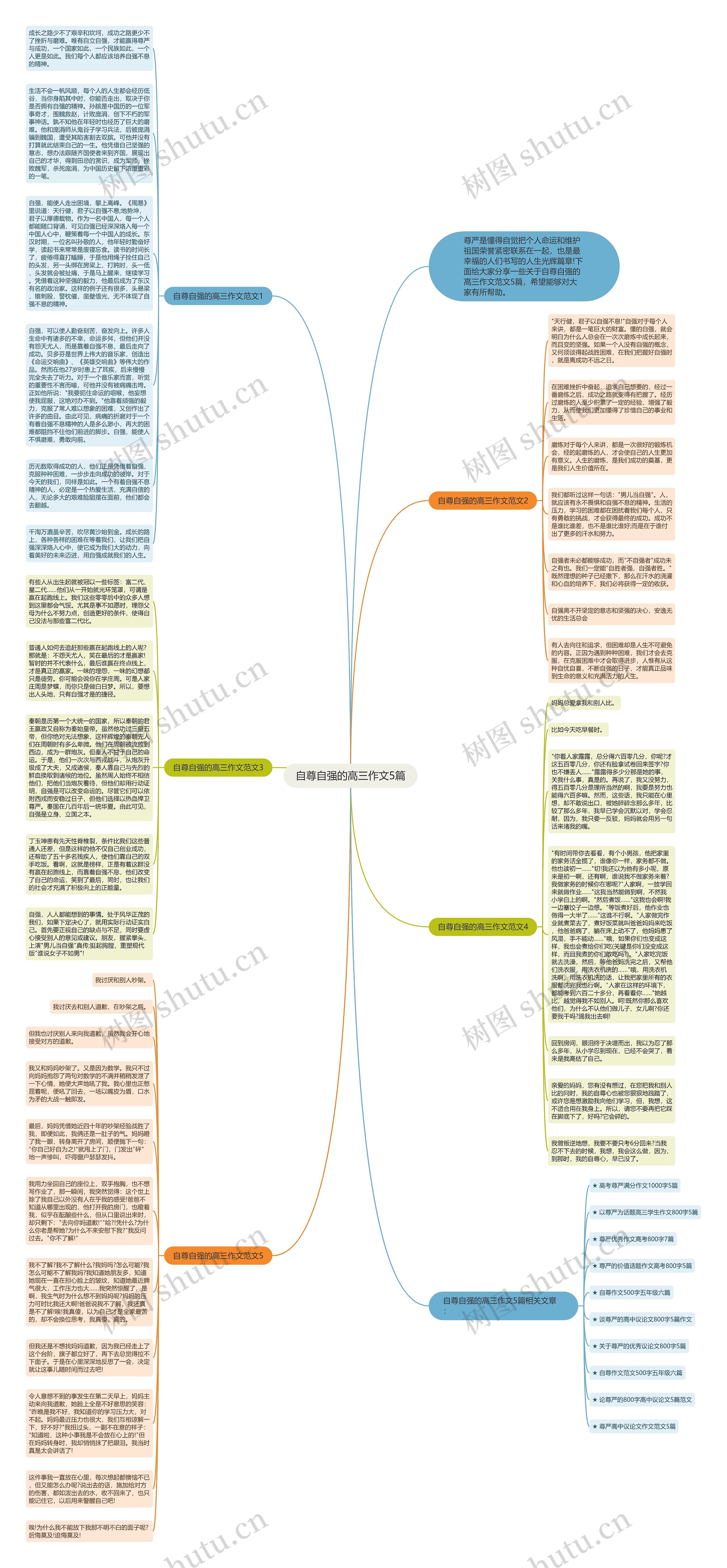 自尊自强的高三作文5篇思维导图