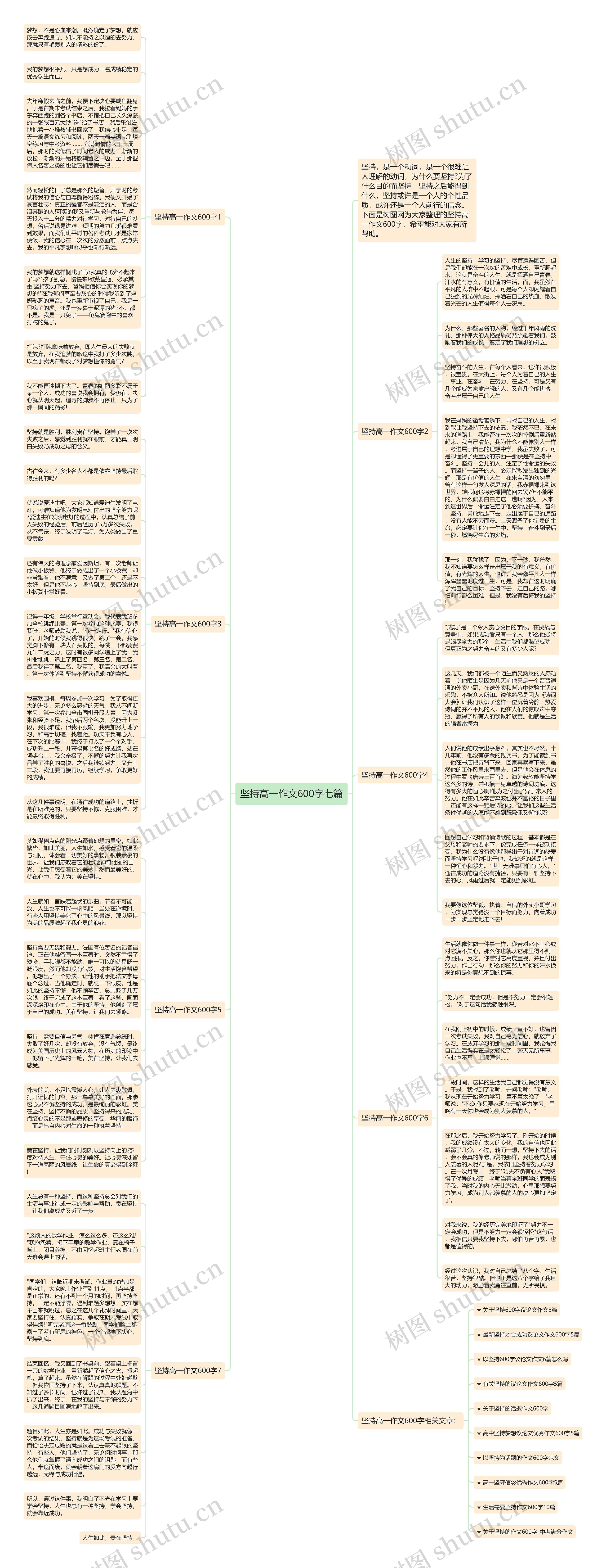 坚持高一作文600字七篇思维导图