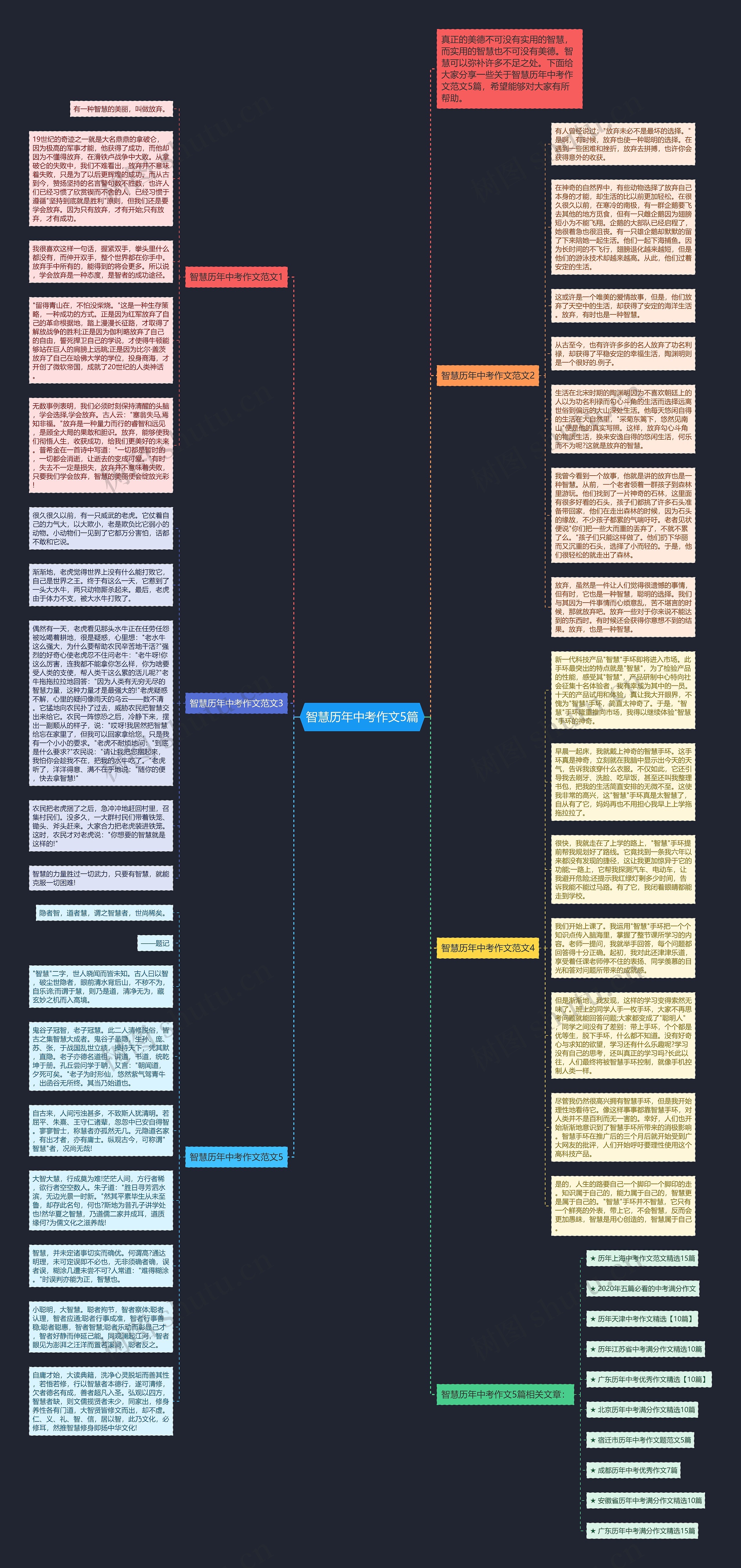 智慧历年中考作文5篇