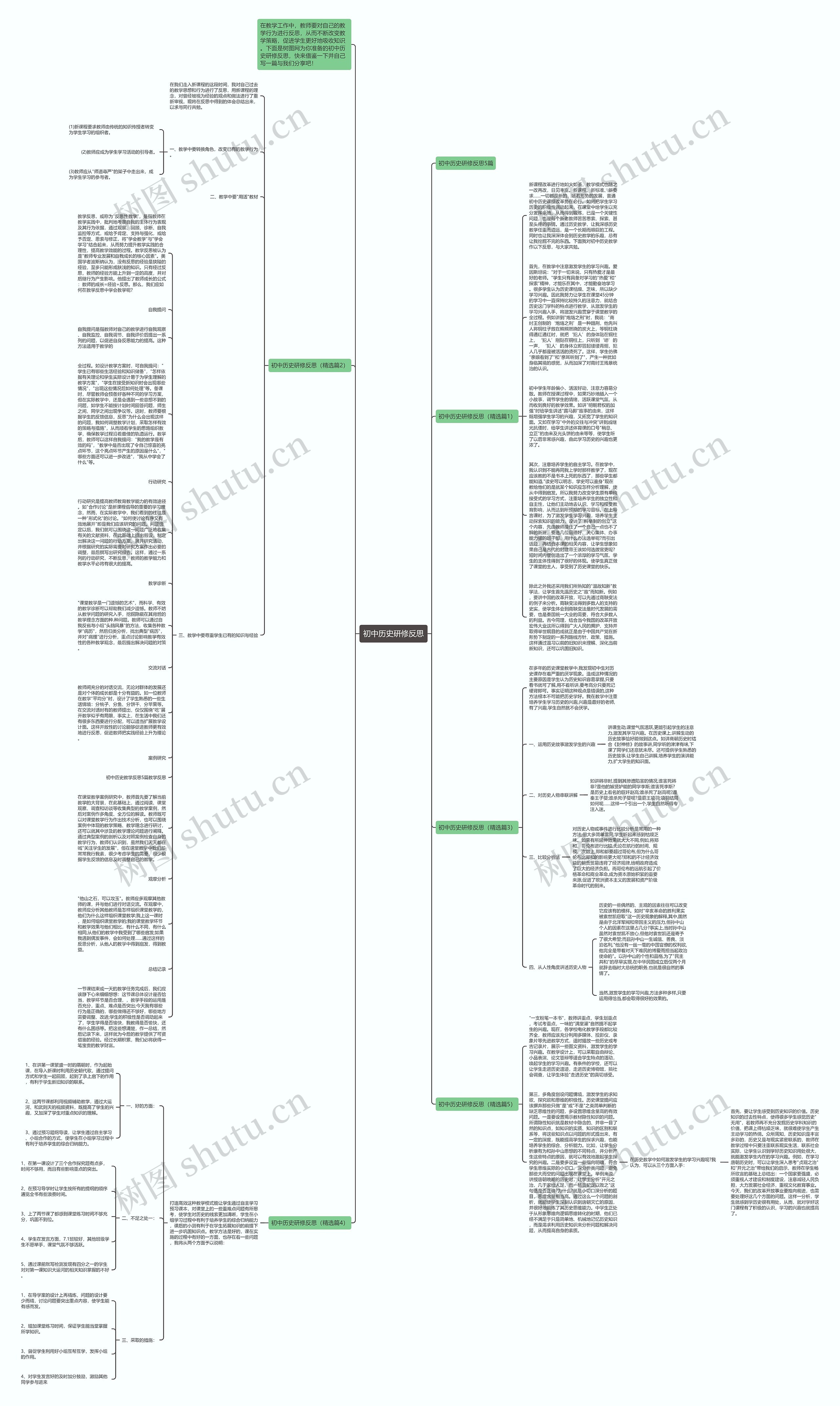 初中历史研修反思思维导图