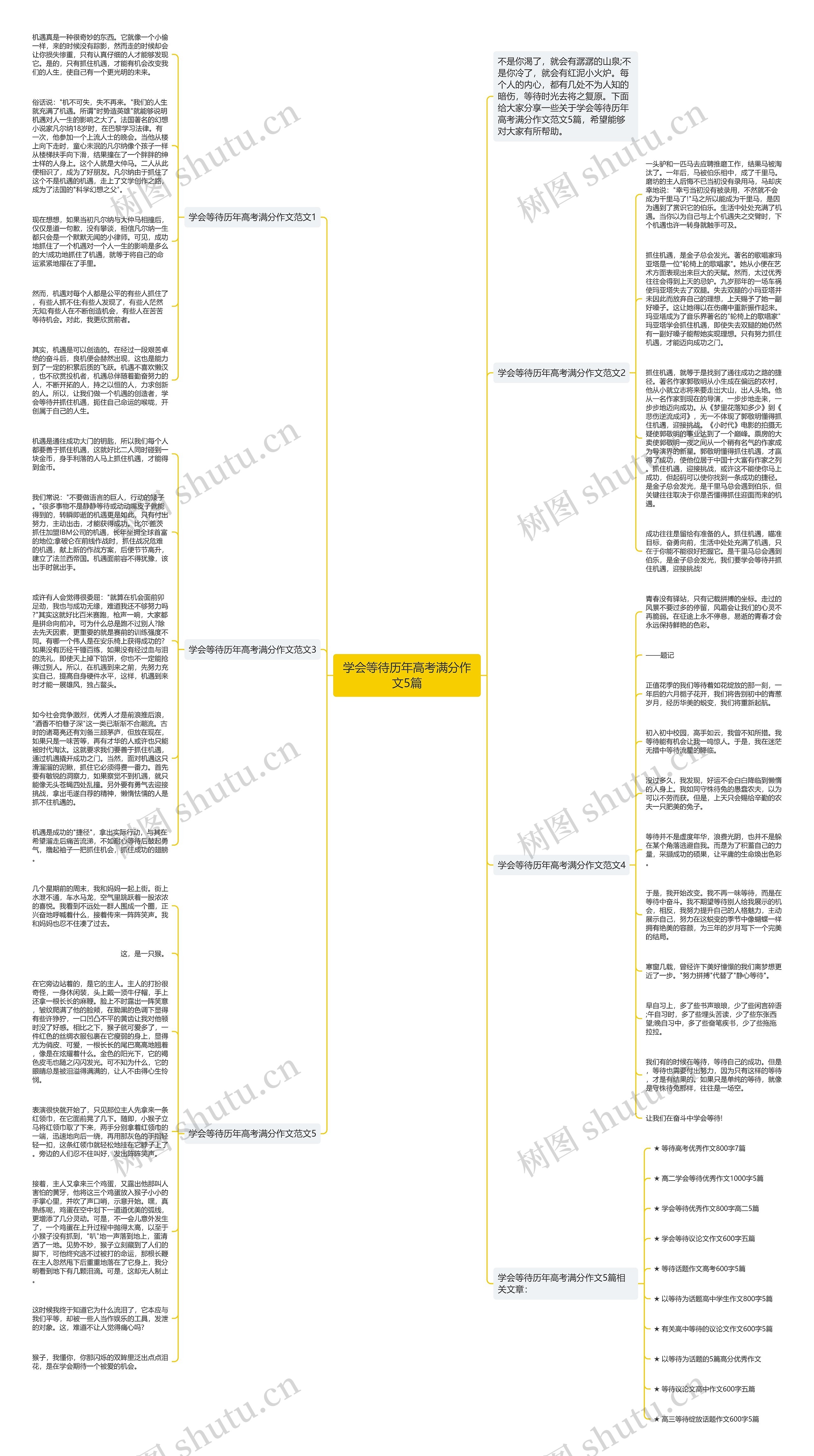 学会等待历年高考满分作文5篇思维导图