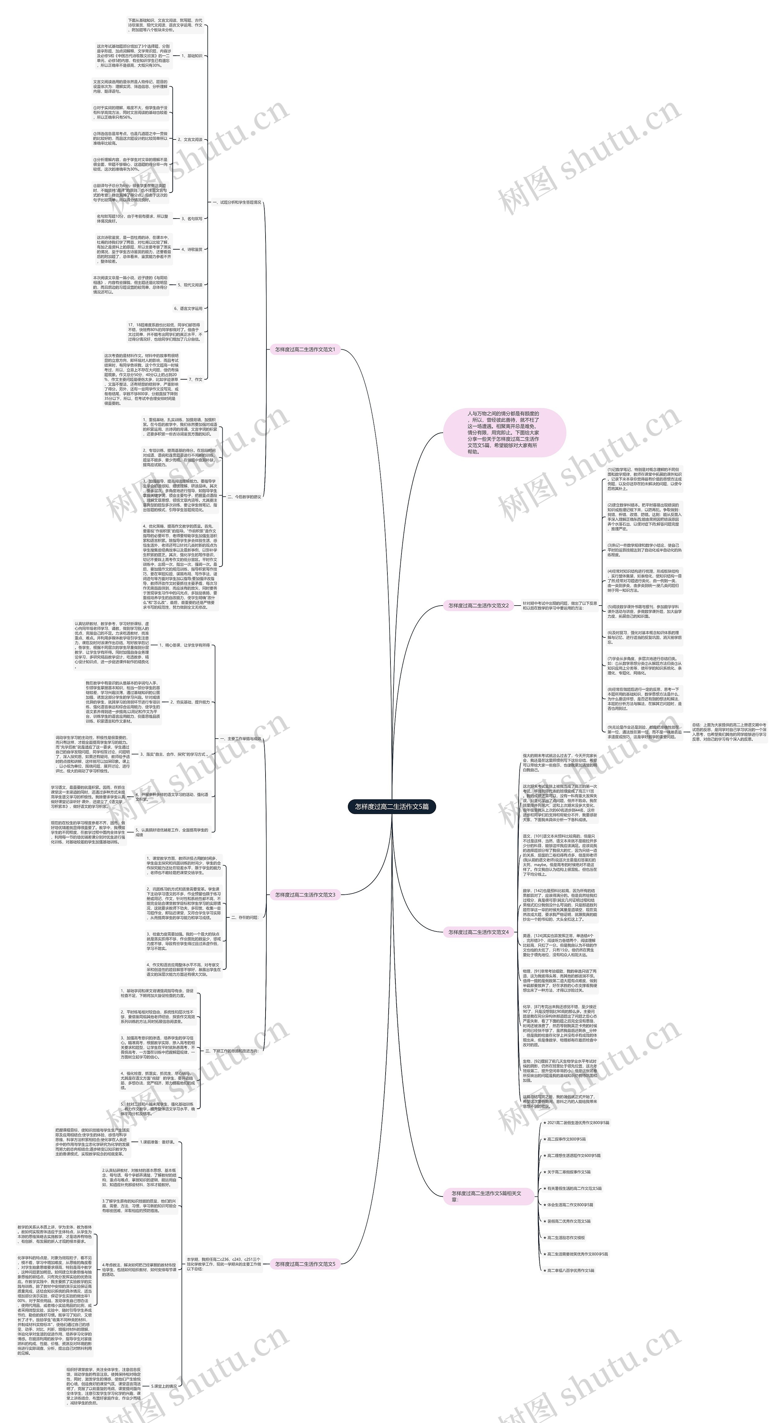 怎样度过高二生活作文5篇思维导图