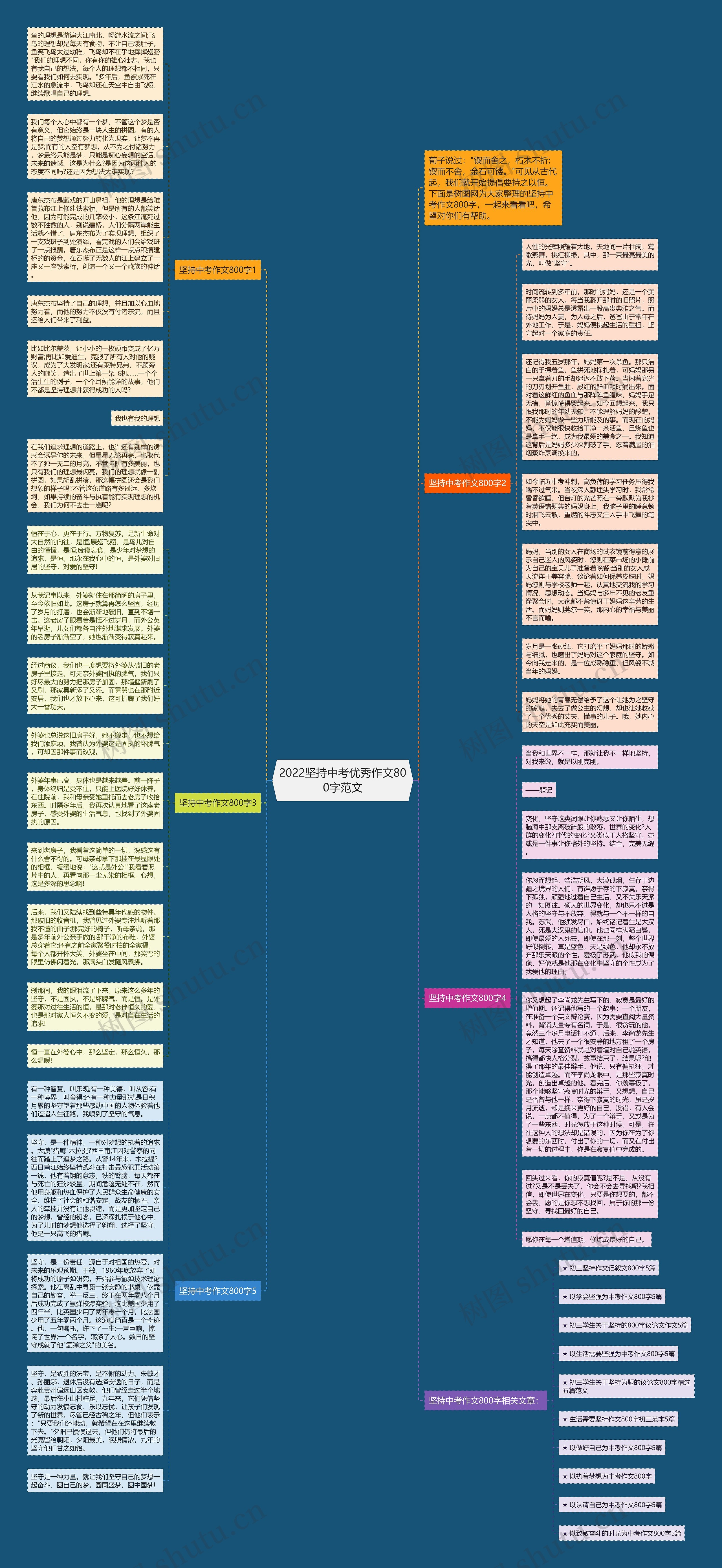 2022坚持中考优秀作文800字范文思维导图
