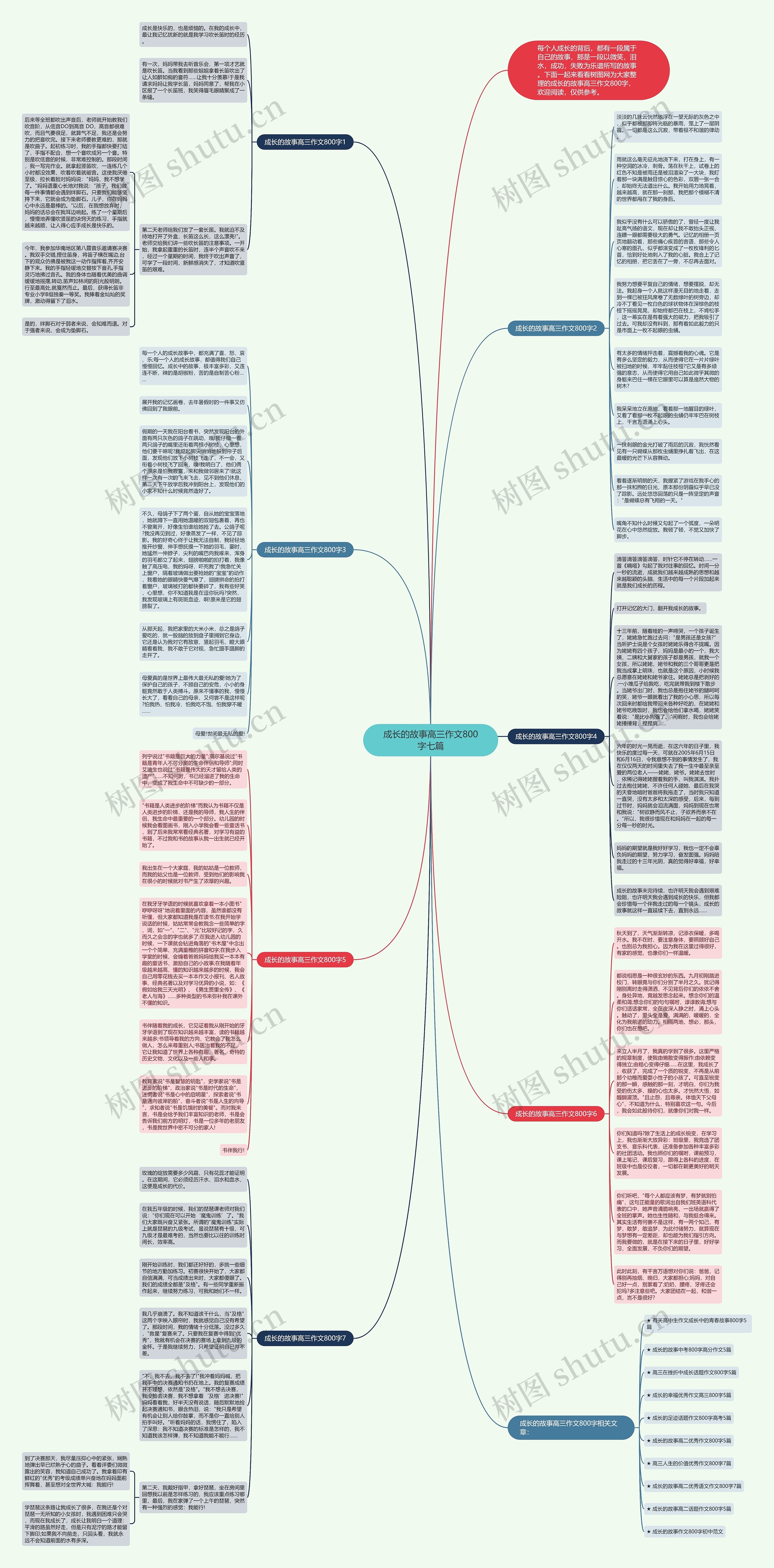 成长的故事高三作文800字七篇思维导图