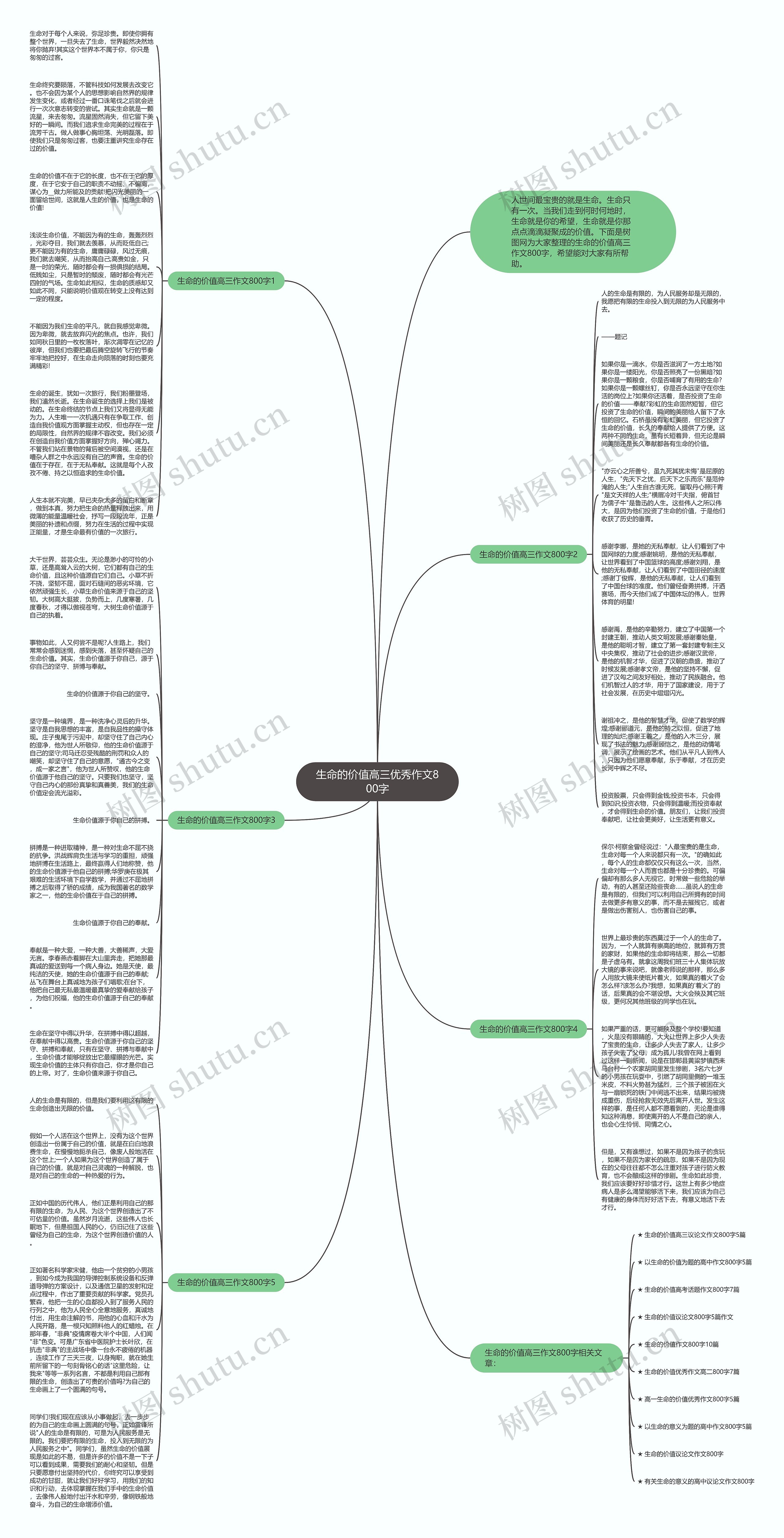 生命的价值高三优秀作文800字思维导图