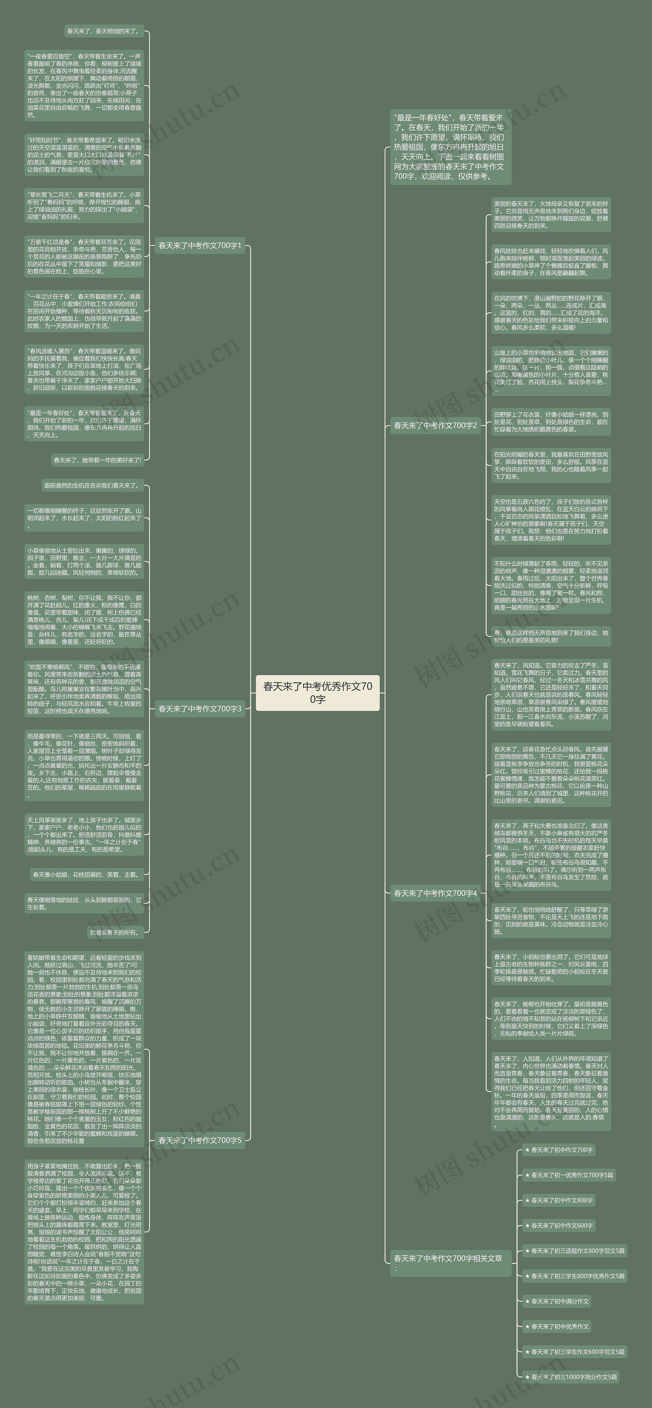 春天来了中考优秀作文700字思维导图